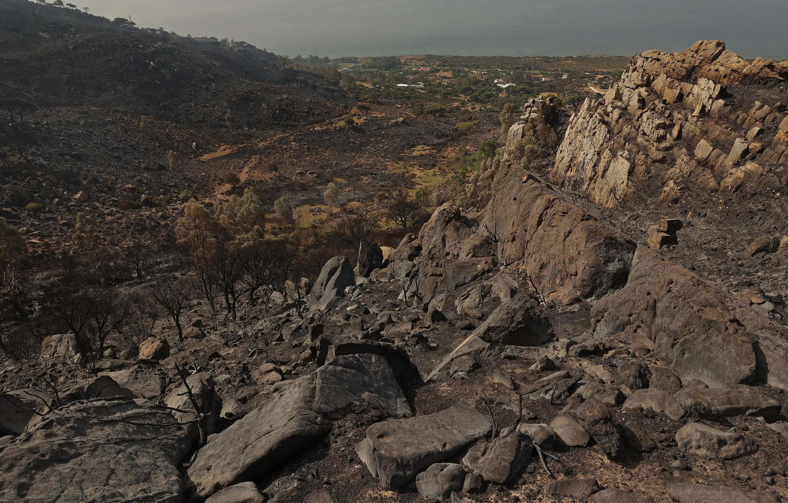 Fotos de los efectos del incendio en el monte de La Peña en Tarifa