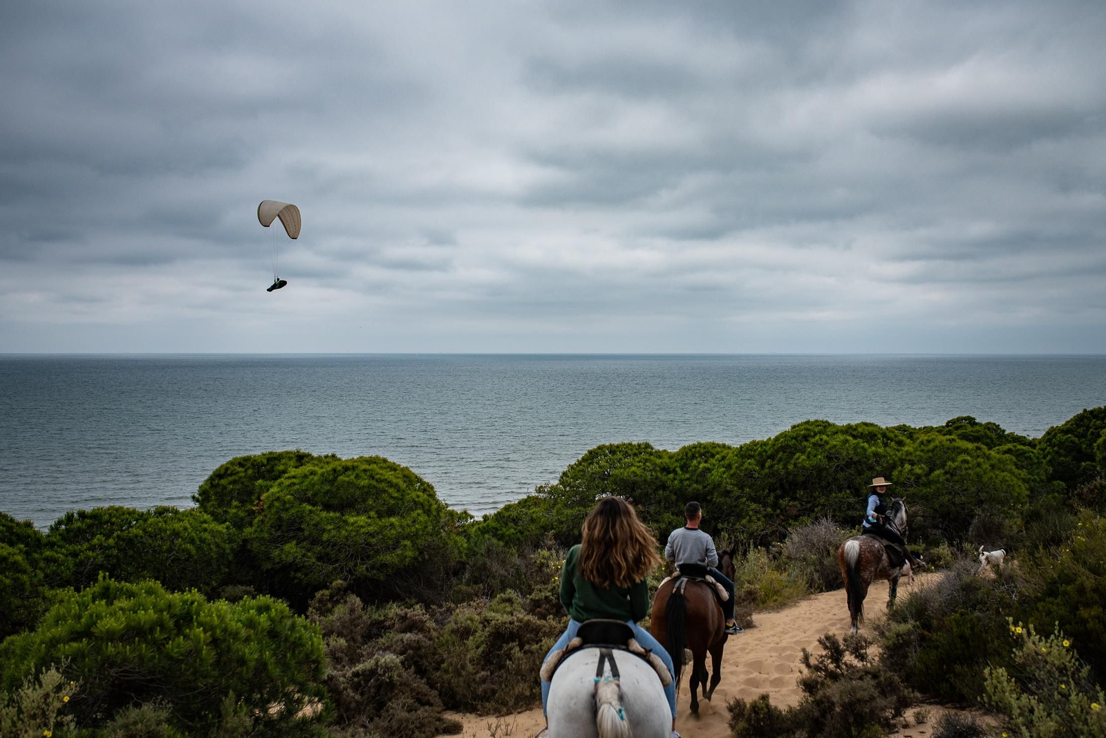 Un paseo a caballo por Doñana en imágenes