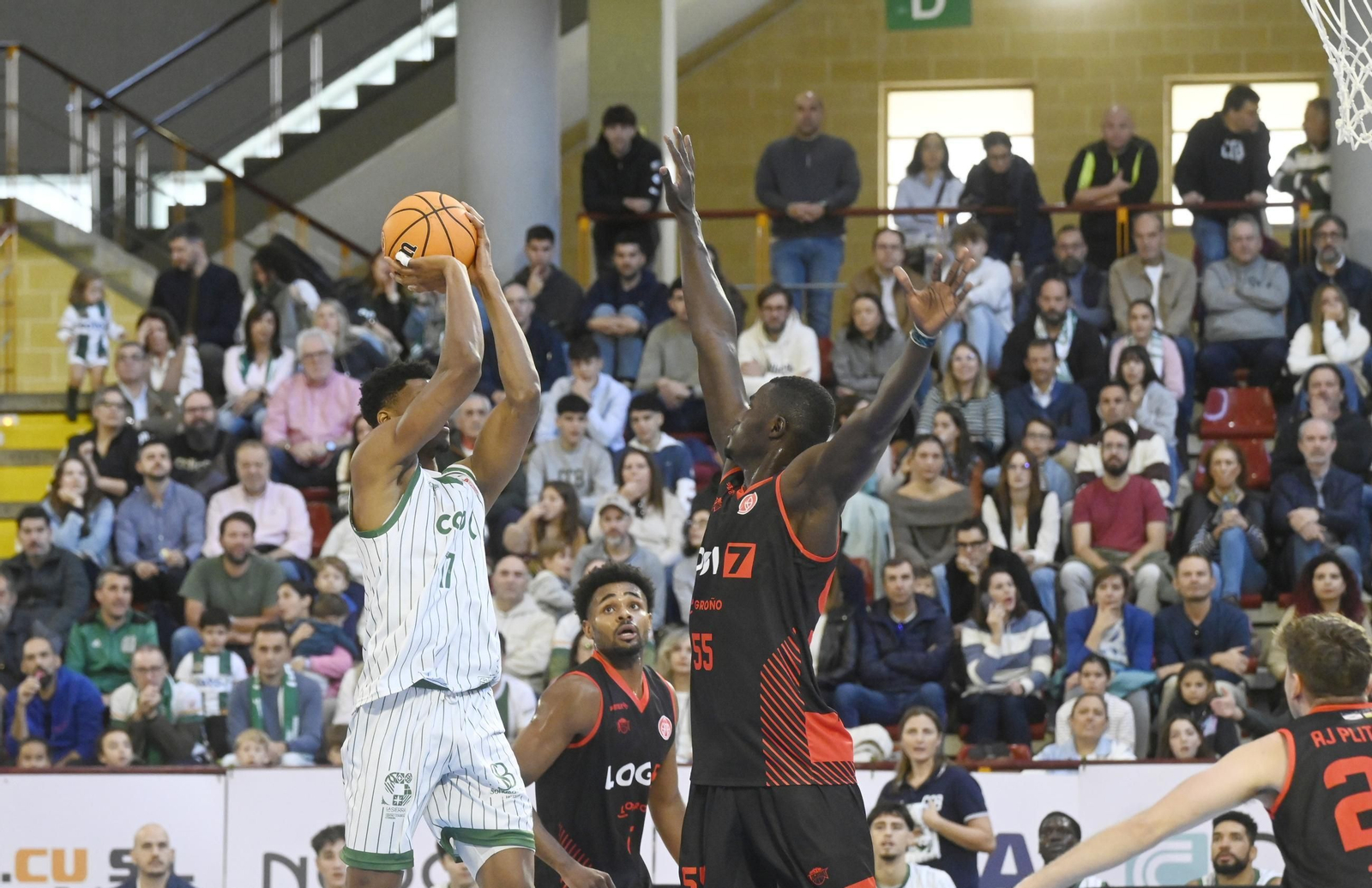 Las mejores fotos del ambiente en Vista Alegre para el Coto Córdoba - Logrobasket