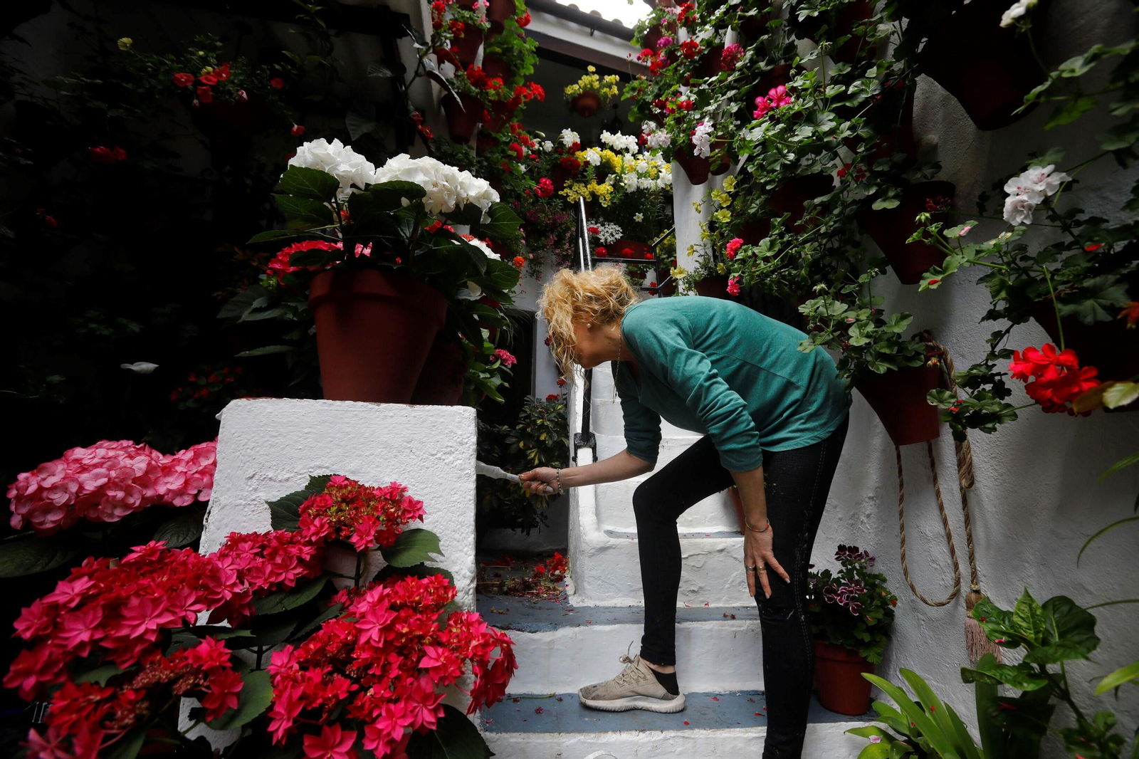 Los últimos preparativos en los Patios de Córdoba para el concurso, en imágenes