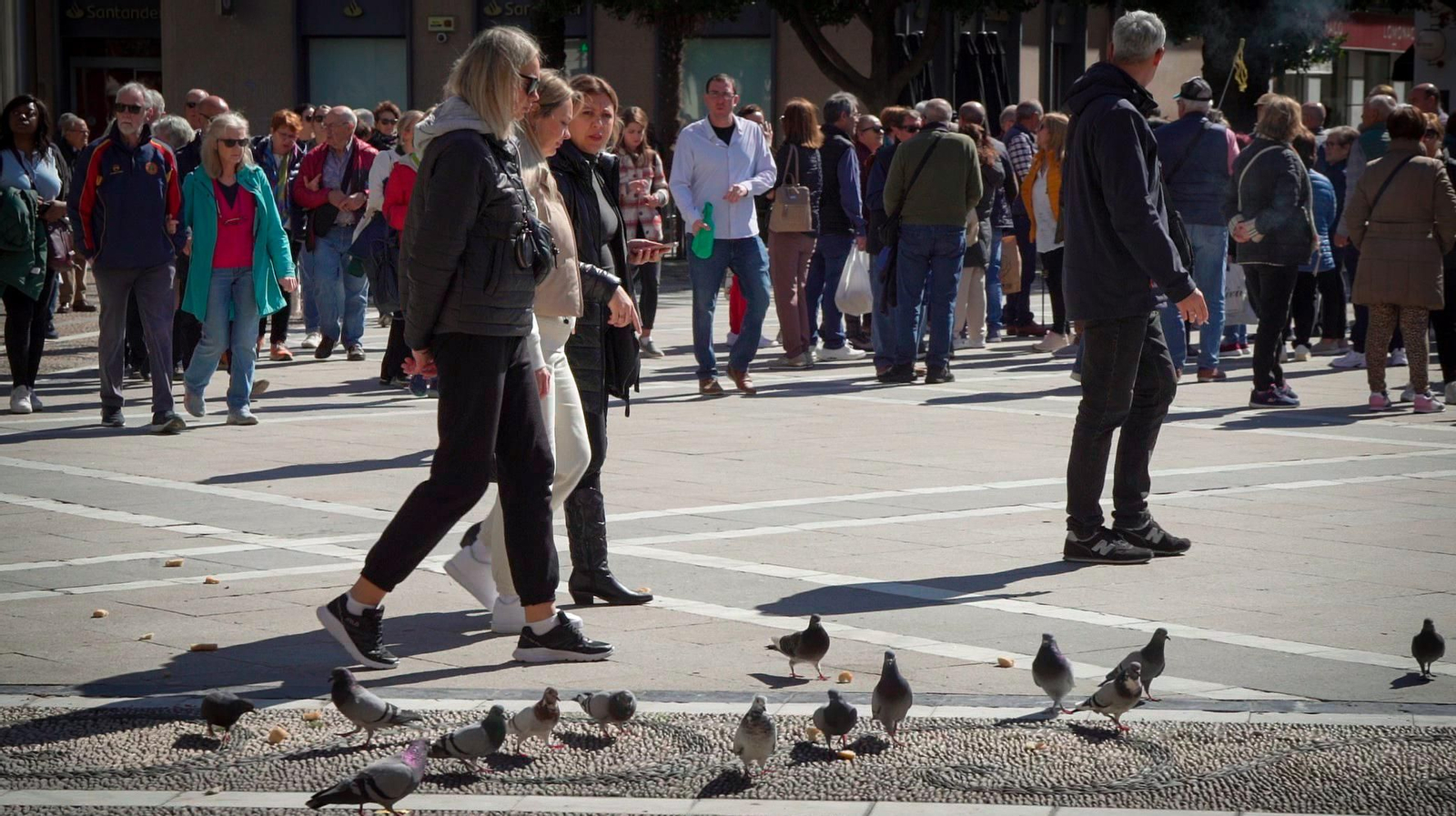 Así vive Jerez su Festival