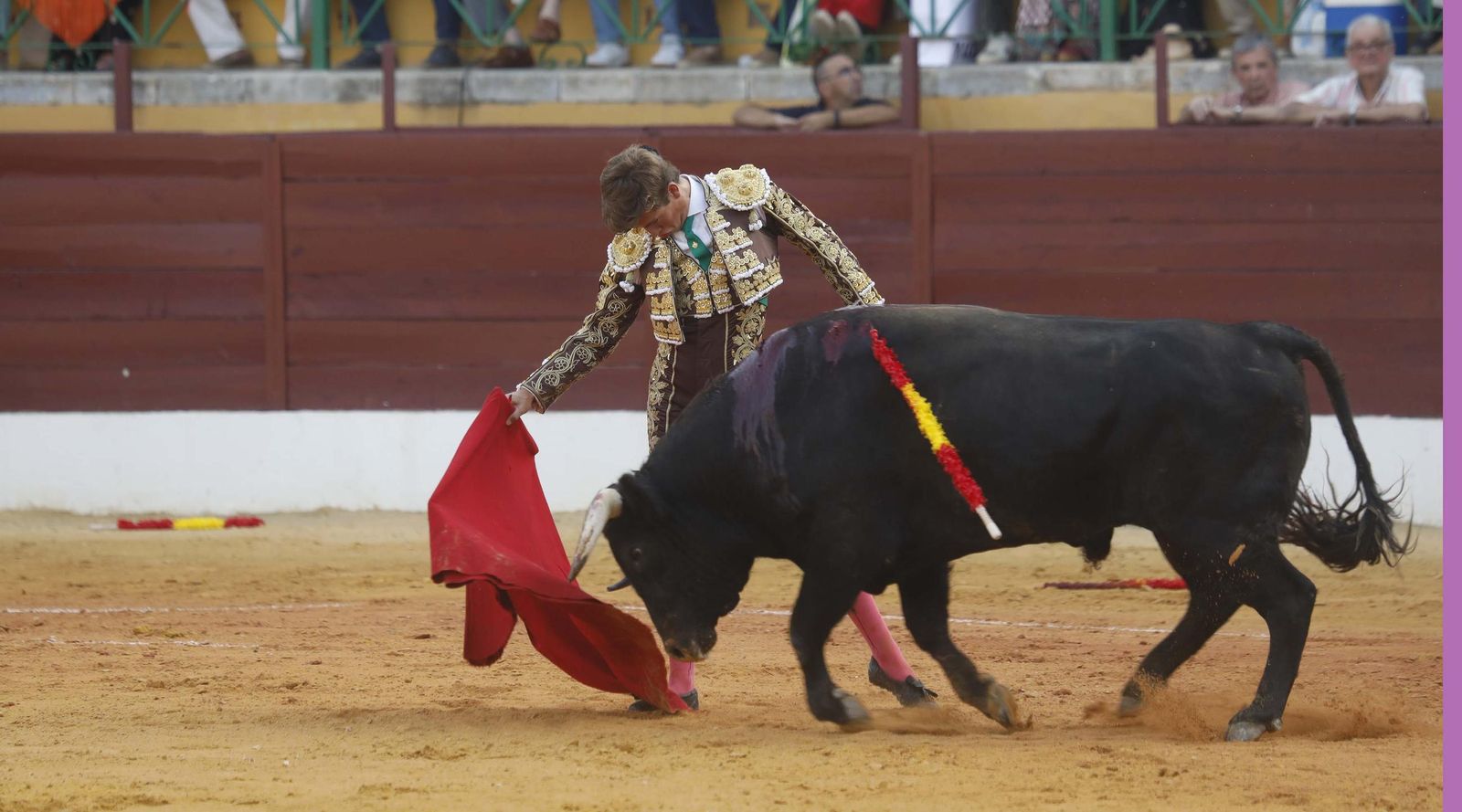 Fotos del triunfo de Manuel Roman y Javier Zulueta con la buena novillada de Núñez de Tarifa que abrió la Feria de La Línea