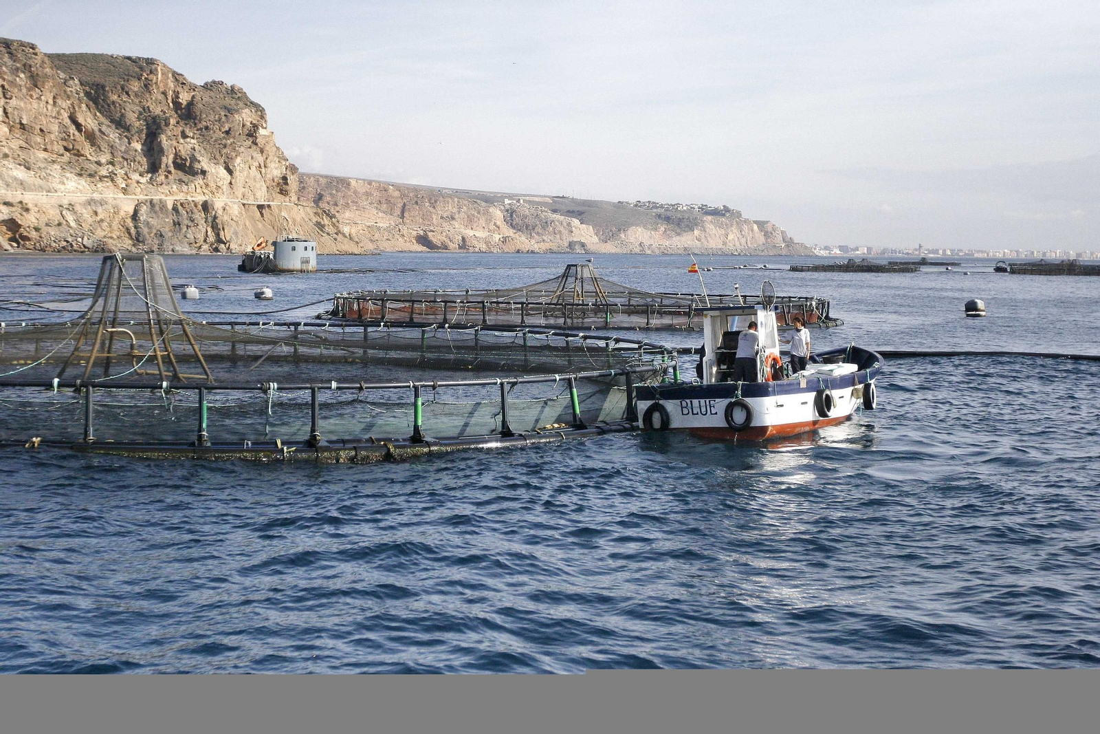Grupo Culmarex ampliará su instalación en Pulpí.