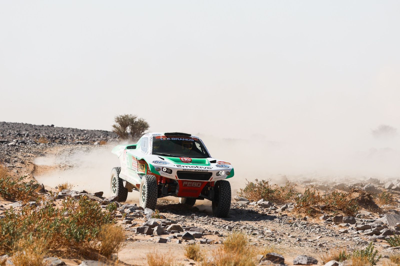 Las mejores fotos del Rally Dakar | Novena etapa