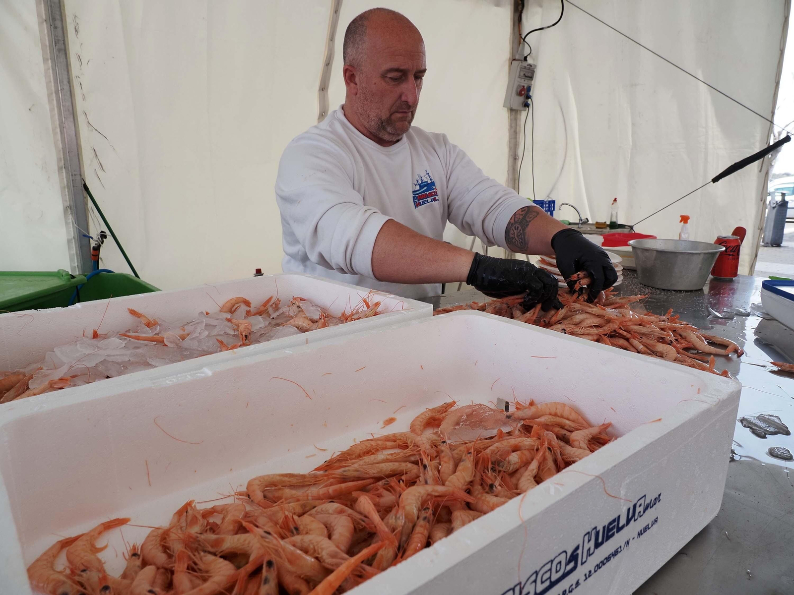 El espectacular ambiente de la Feria de la Gamba de Punta Umbría, en imágenes