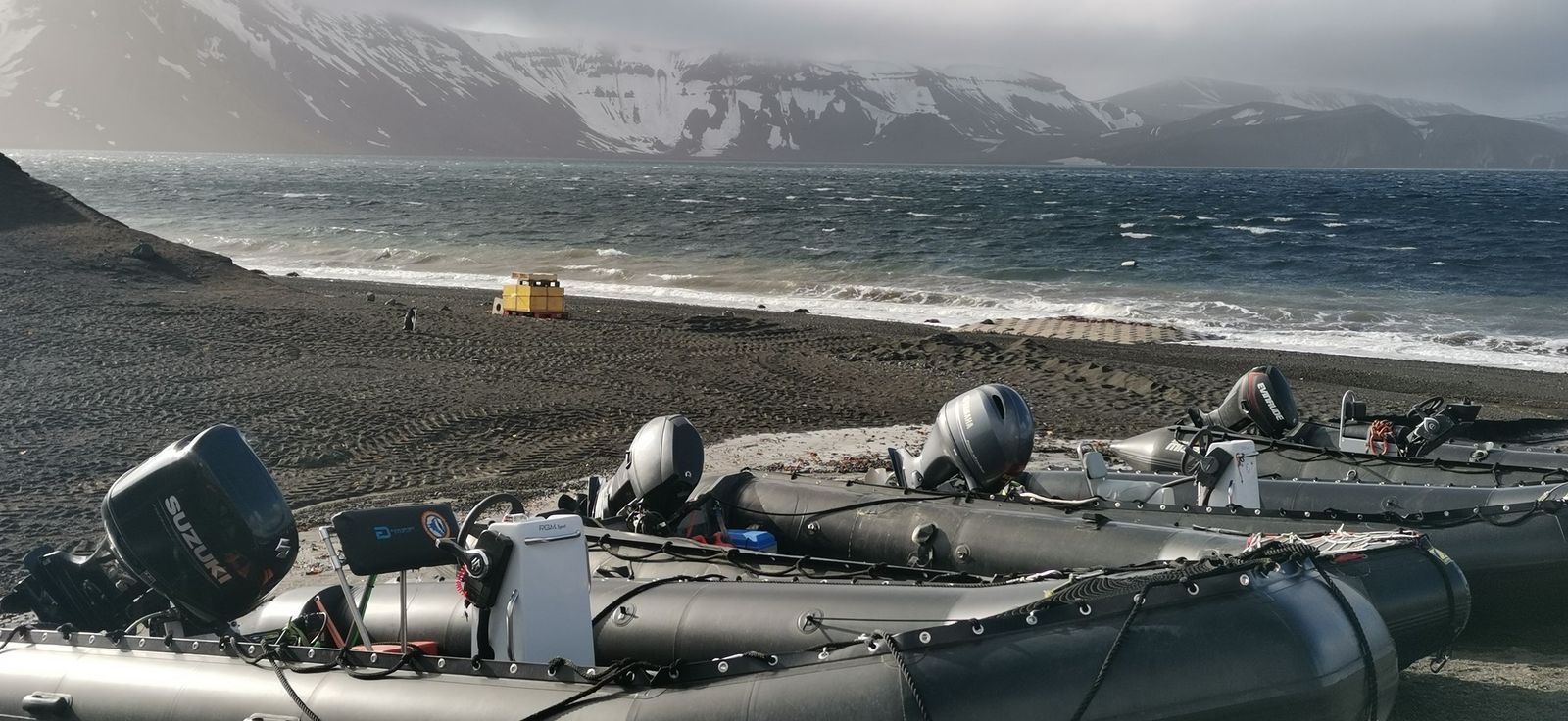 Investigadores de la Universidad de Jaén (UJA) en la Antártida.