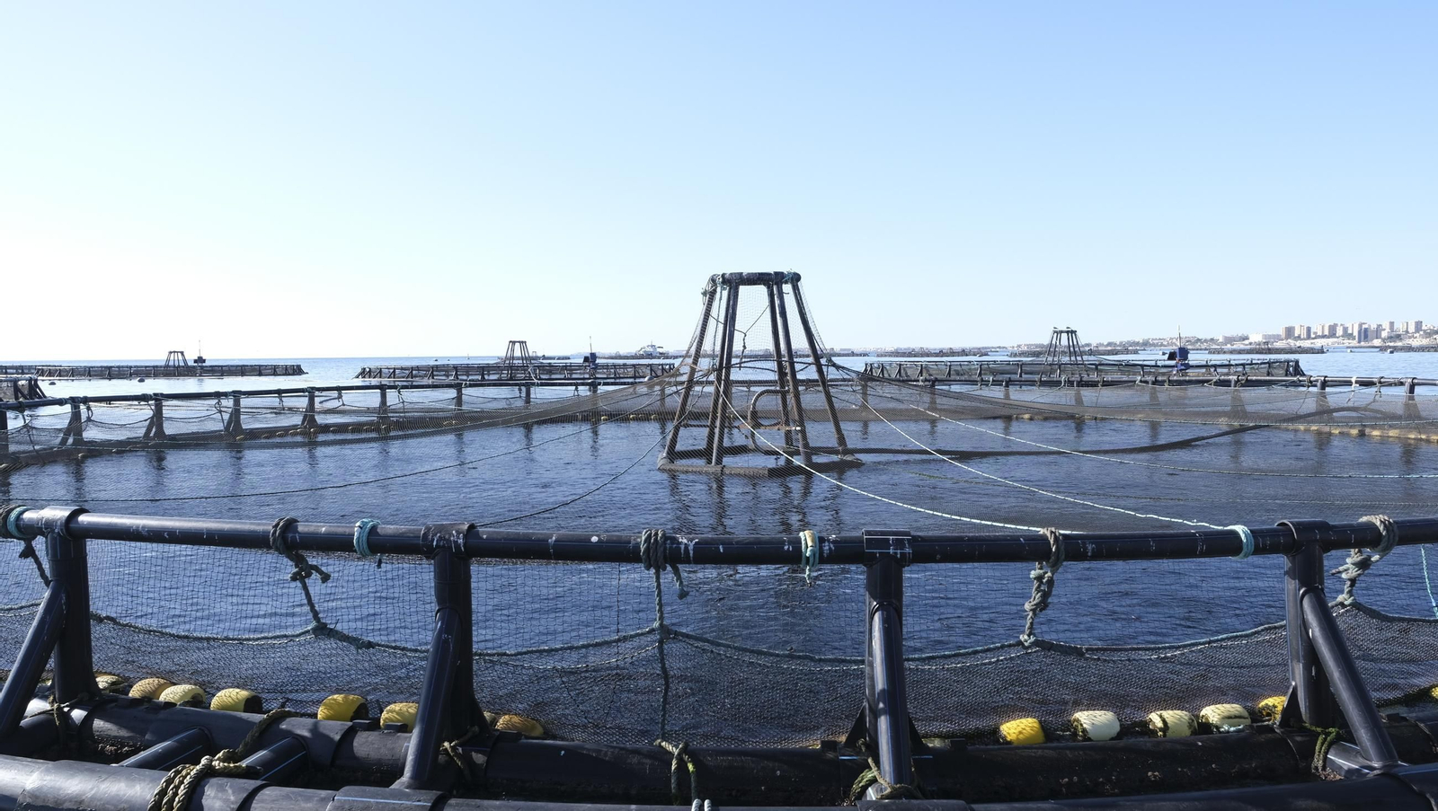 La piscifactoría de El Cañarete, en imágenes