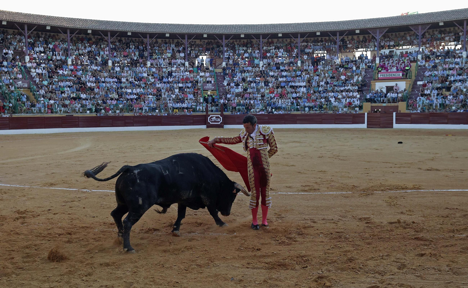 Fotos de la corrida del viernes de la Feria de La Línea: Morante de la Puebla, Talavante y David de Miranda Fotos de la corrida del viernes de la Feria de La Línea: Morante de la Puebla, Talavante y David de Miranda