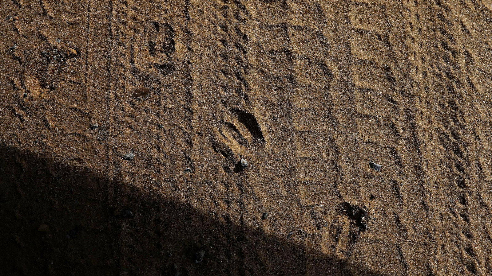 Las mejores fotos de la finca La Almoraima