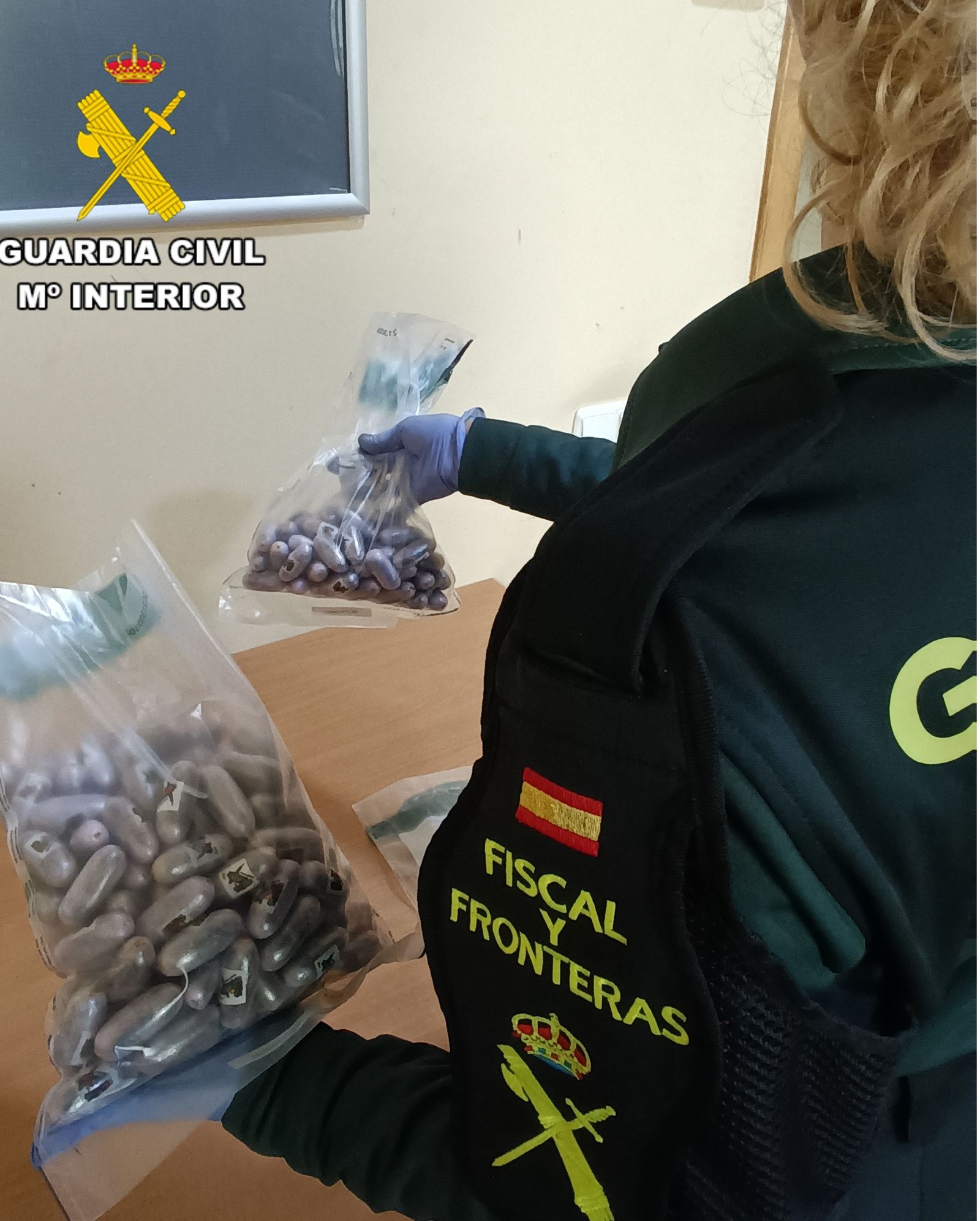 Bellotas encontradas en el cuerpo de la mujer.