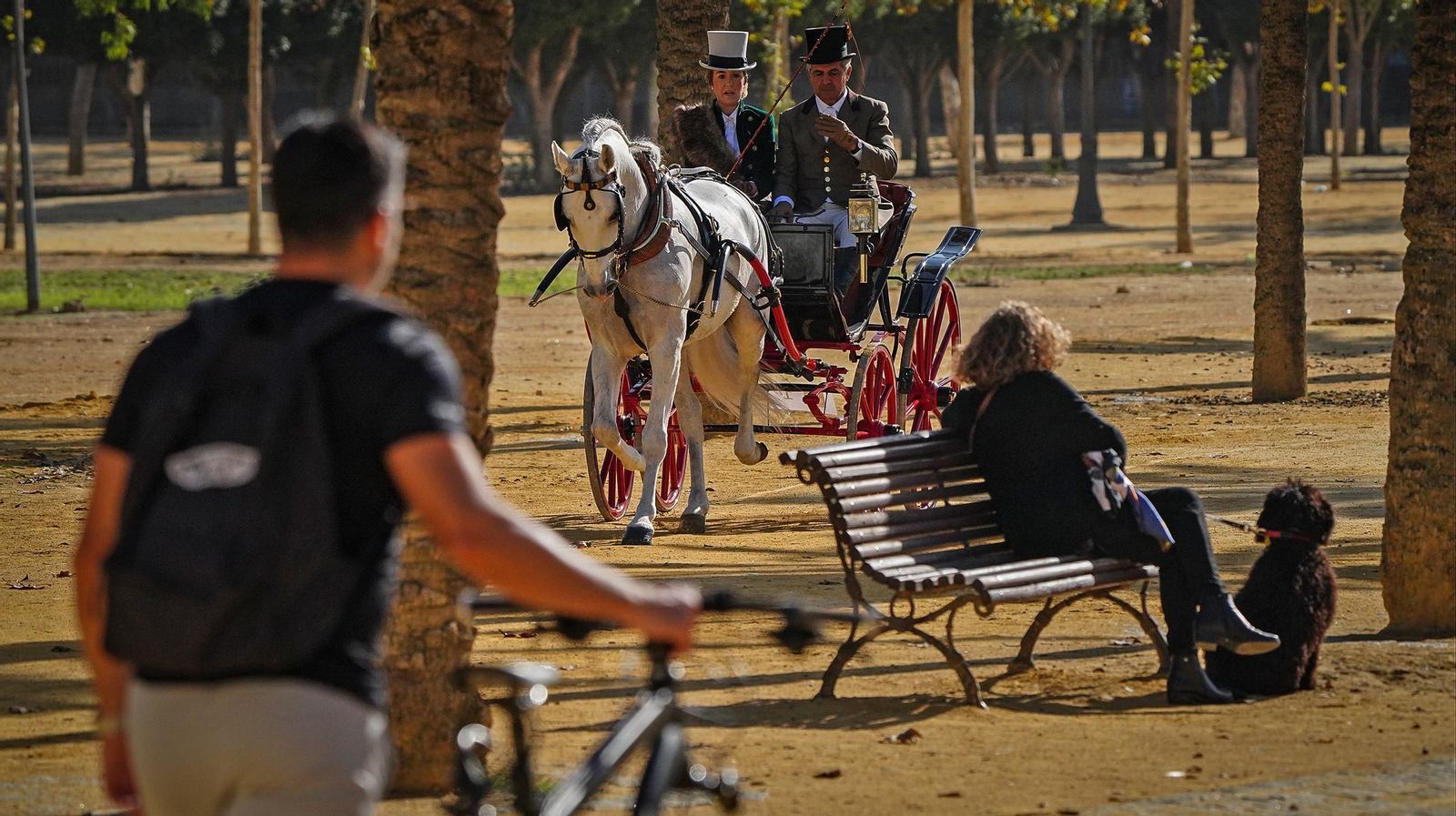 Tradición y elegancia en el Concurso Internacional de Enganches