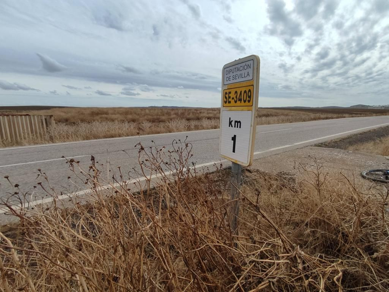 Vista de la finca de 20.648 metros cuadrados de Salteras en la que se levantará el parque temático sobre la Prehistoria.