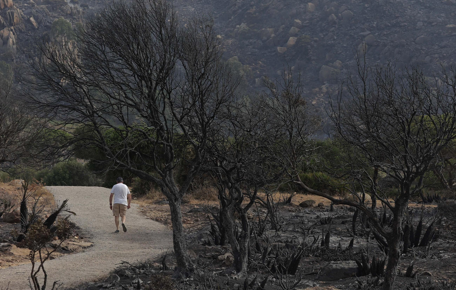 Un hombre camina por una zona calcinada.