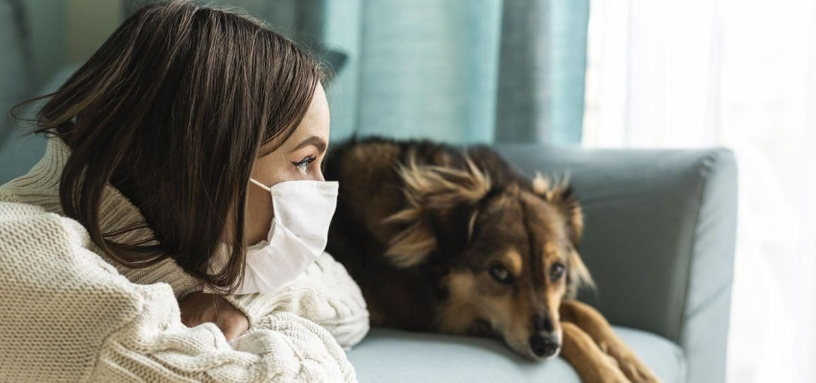 Un estudio afirma que los animales transmiten el virus de la COVID-19 a las personas