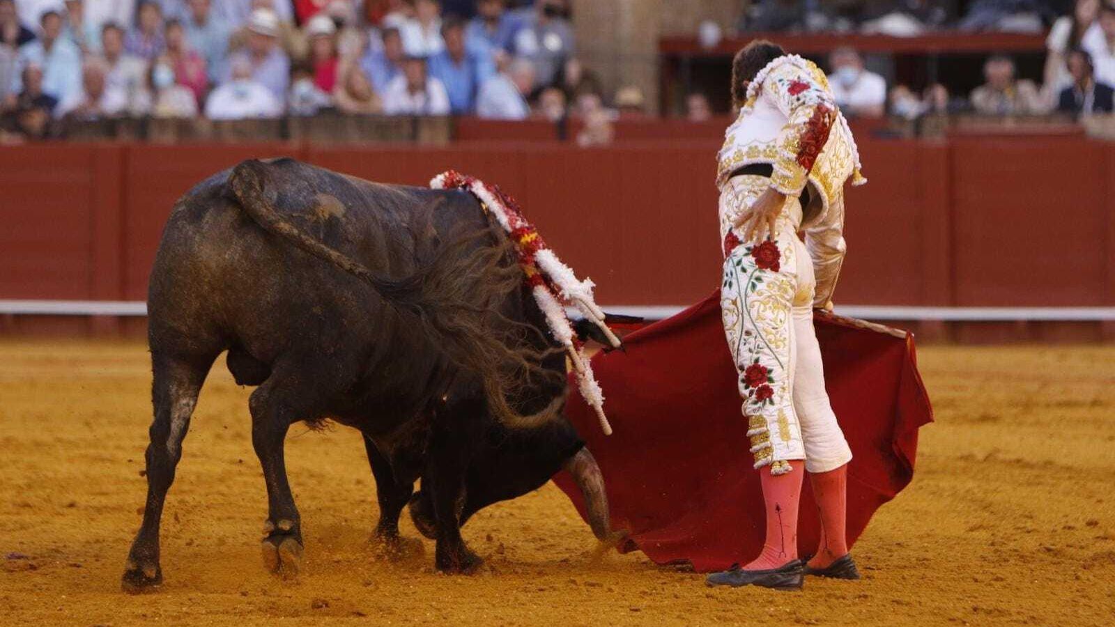 Escribano con su sexto toro