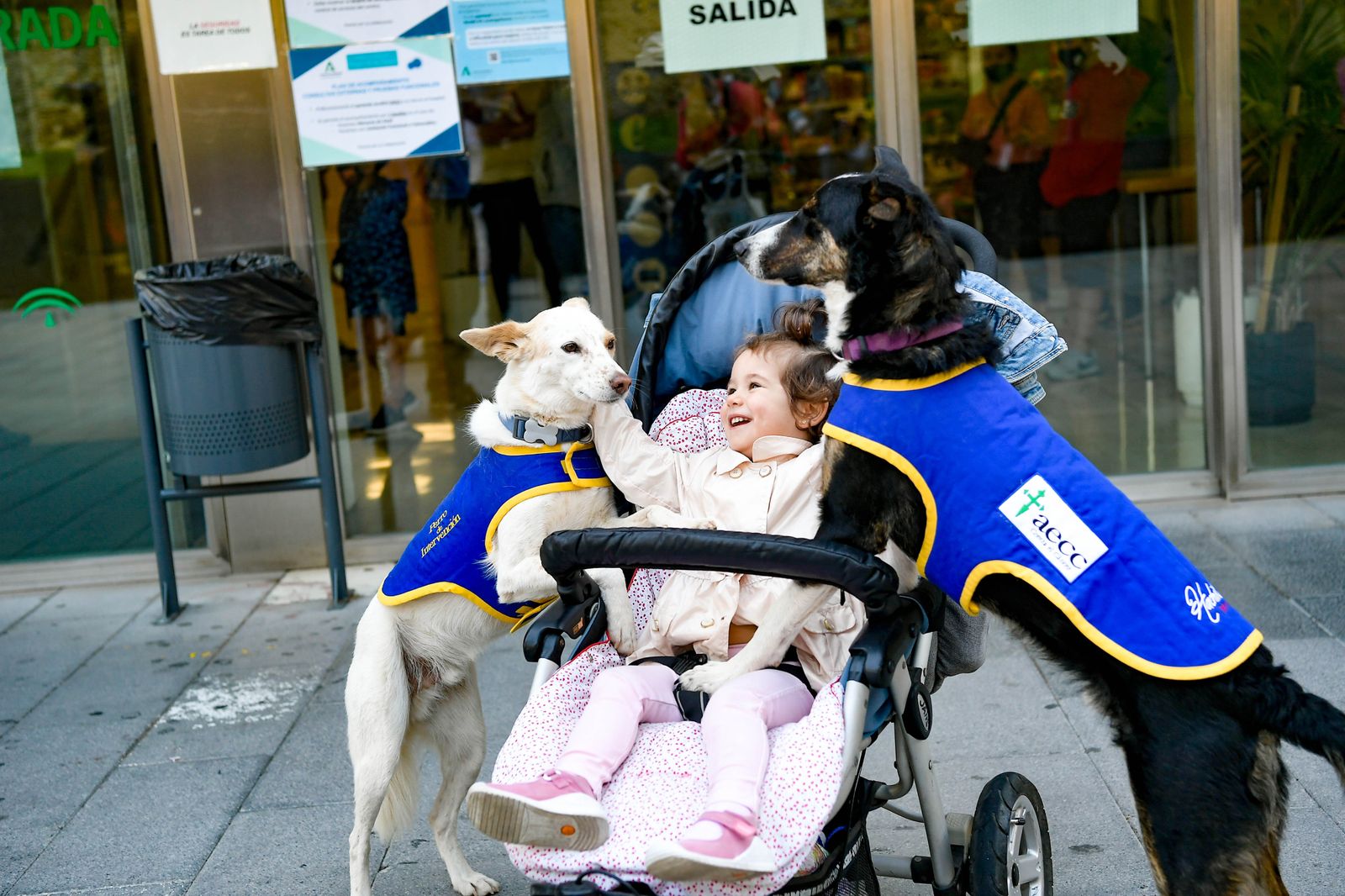 Dos de los perros juegan con una niña, no enferma, en la puerta del hospital