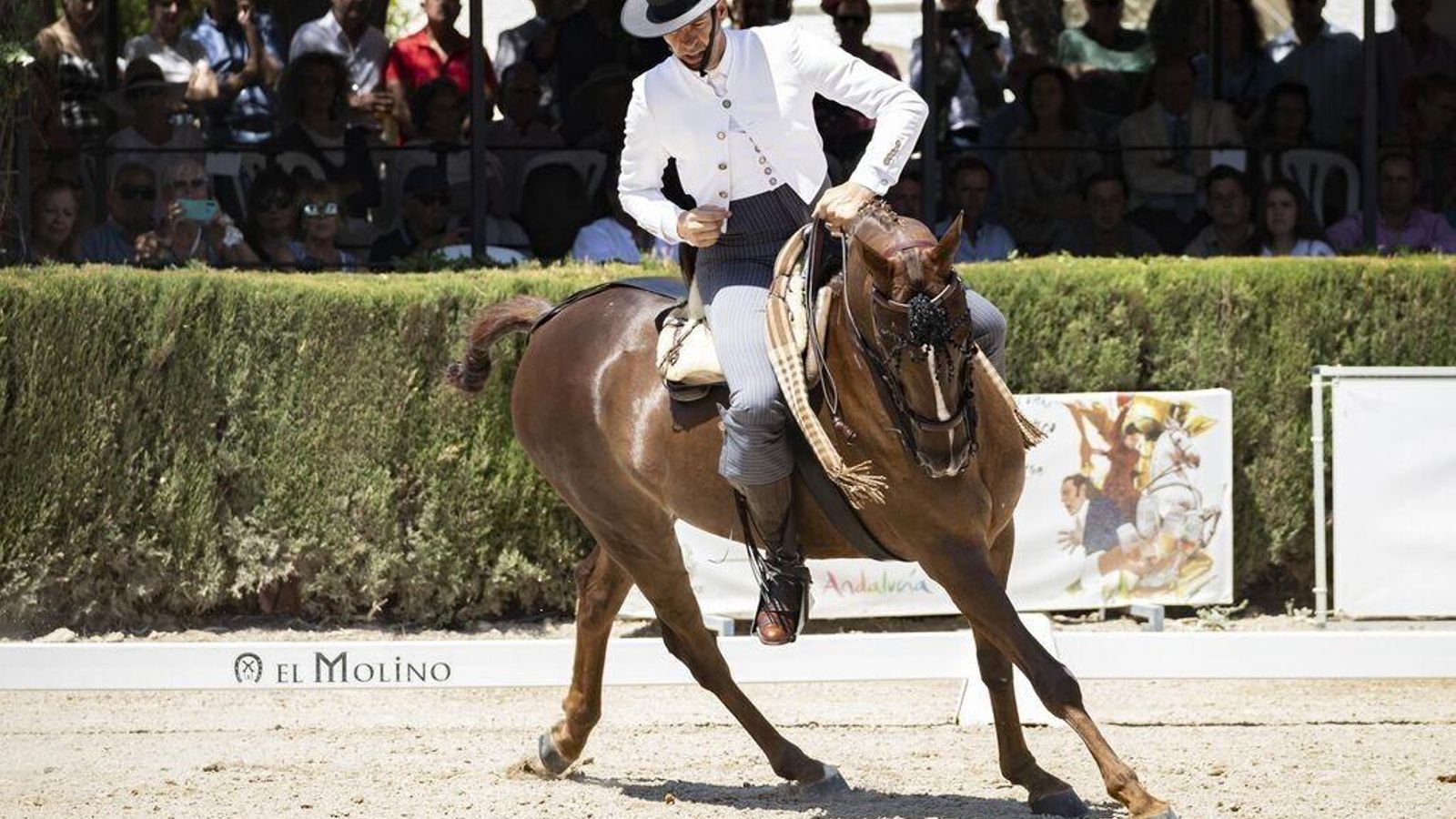 Un instante del Concurso de Doma Vaquera.