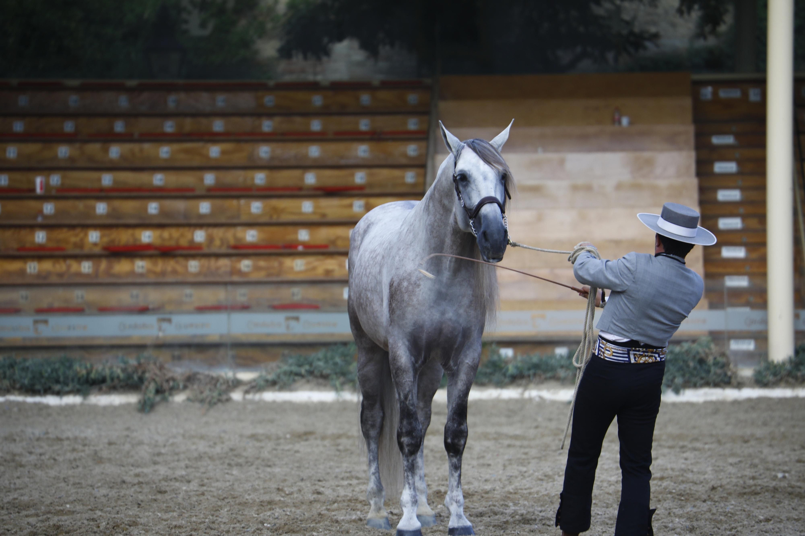 El concurso morfológico de caballos de pura raza de Cabalcor, en fotografías