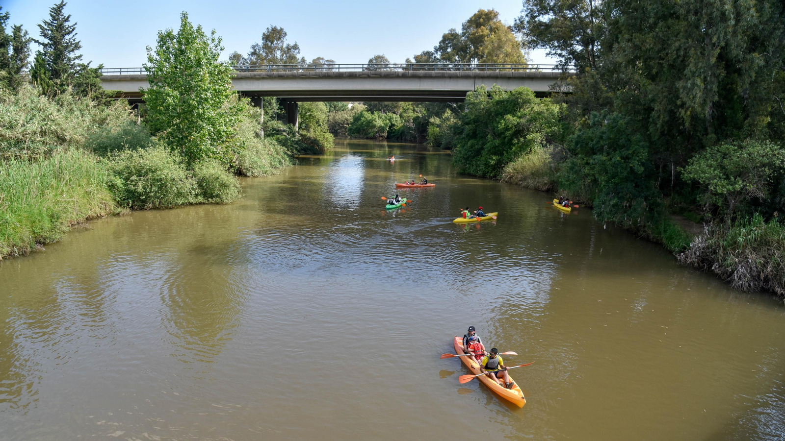 Ruta en kayak por El Palmones