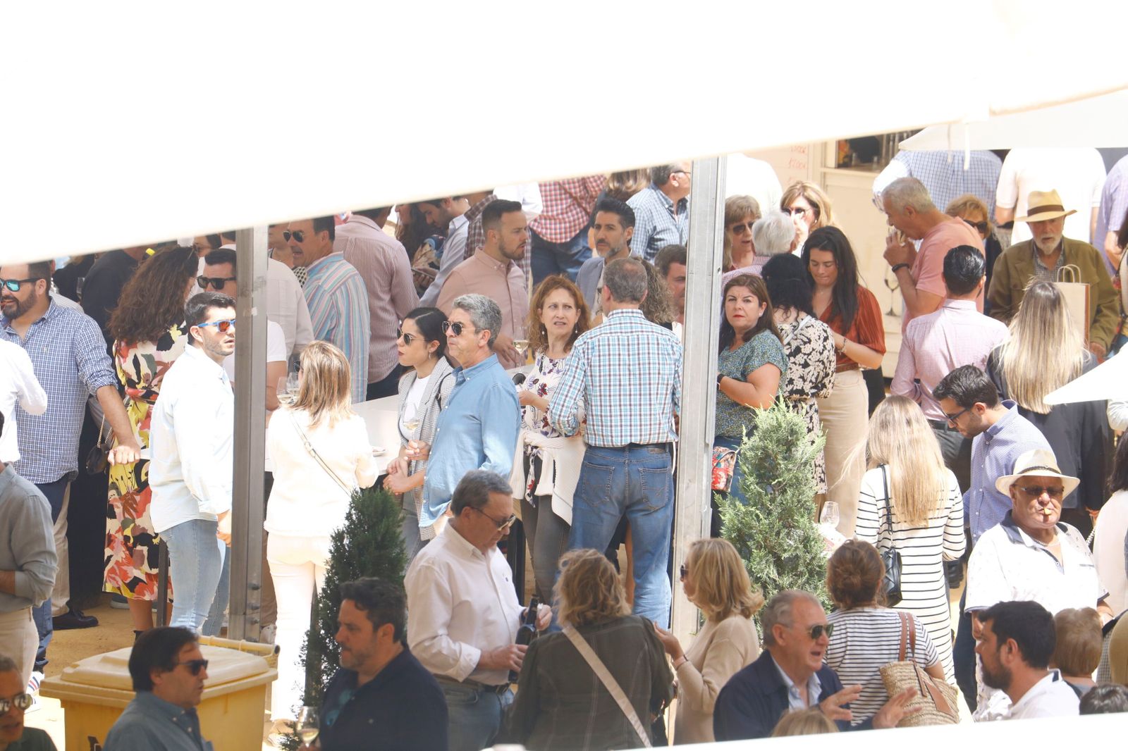 El viernes en la Cata del Vino de Córdoba, en imágenes