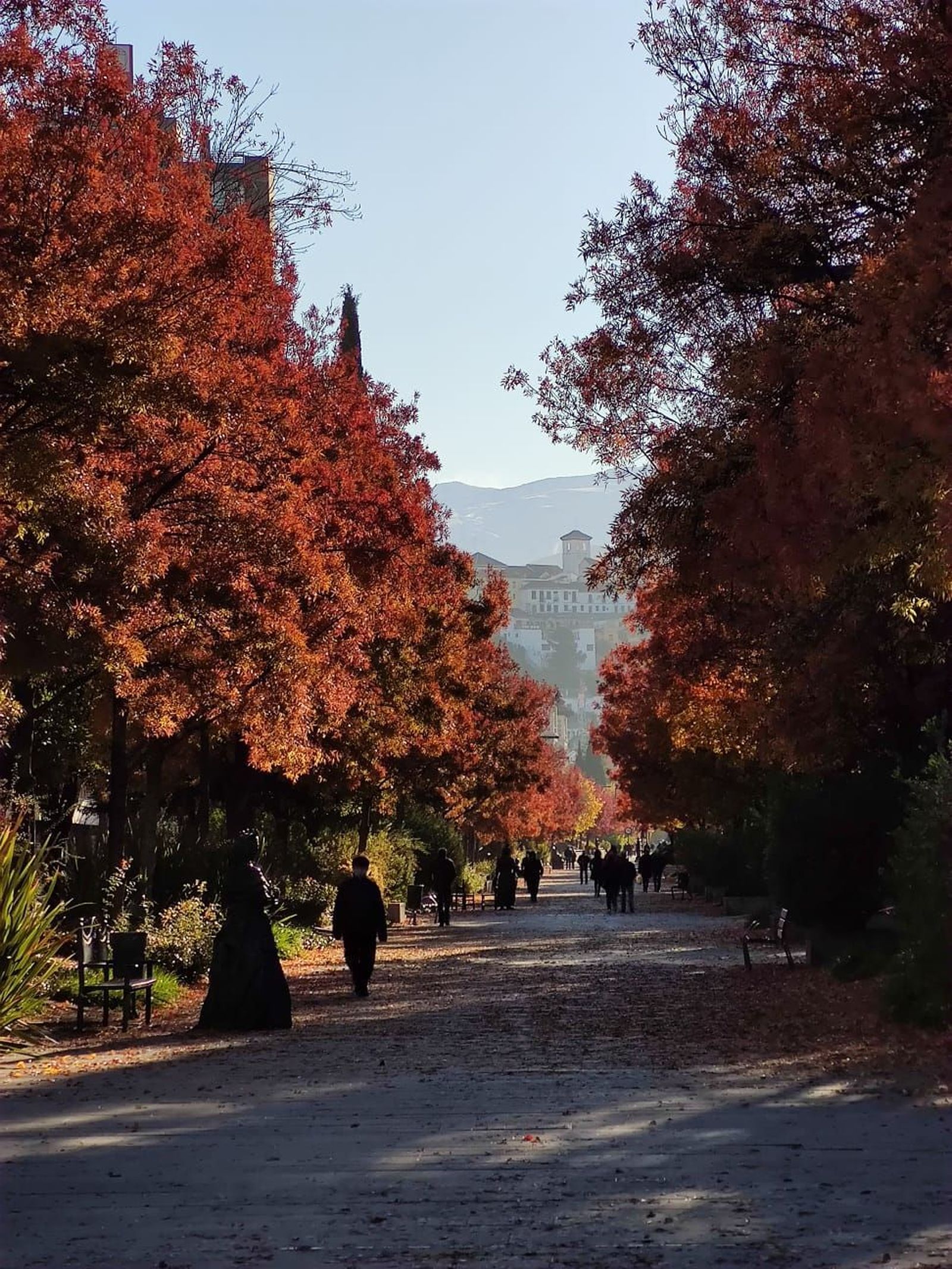 Imagen otoñal del  bulevar de la Constitución.