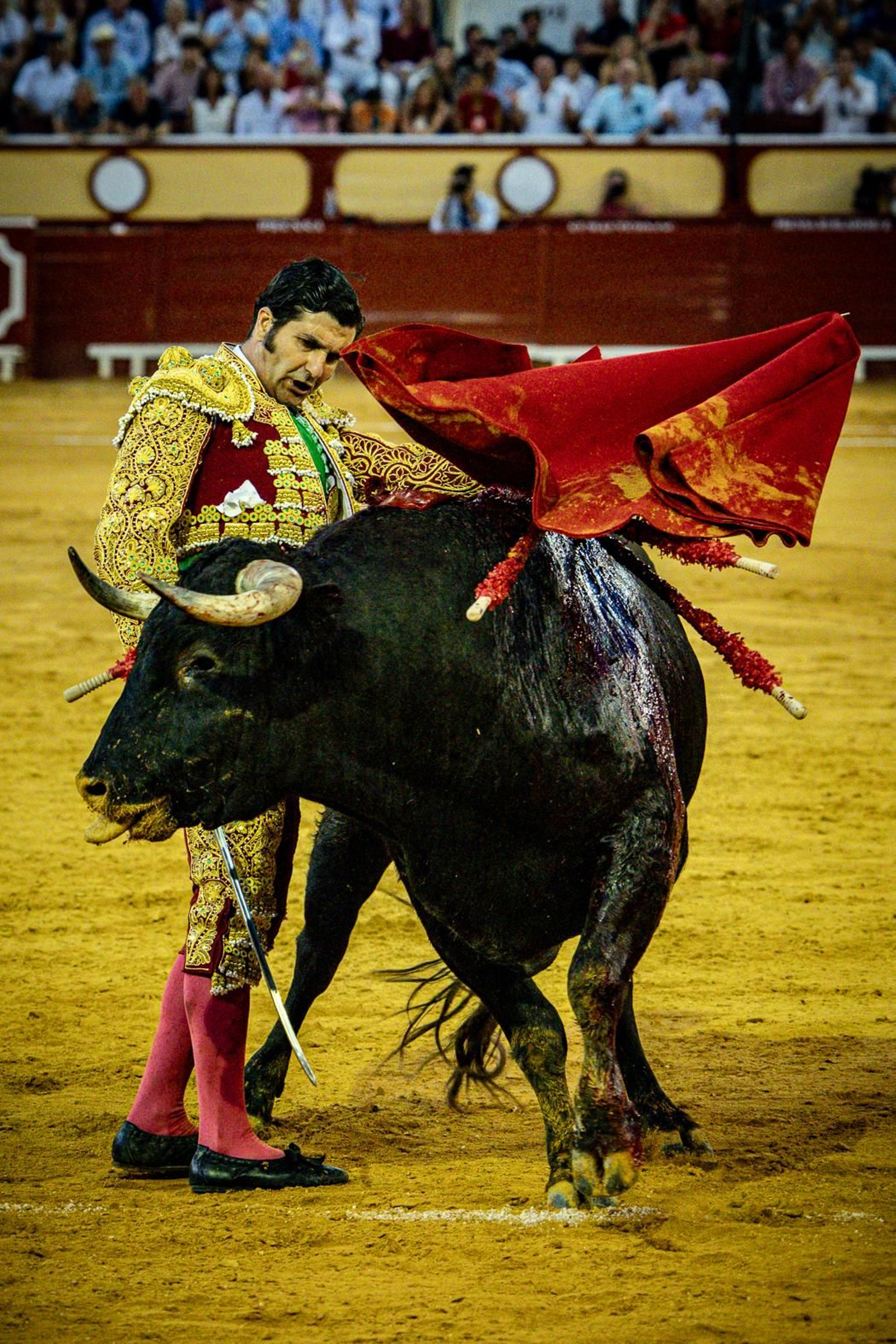 Las imágenes de la corrida de toros en El Puerto: Morante, Talavante y Juan Ortega