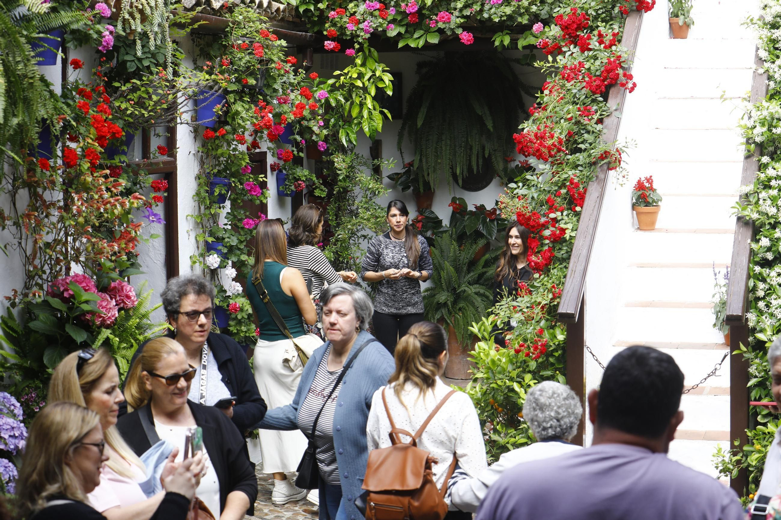 Colas e ilusión en el primer sábado de los Patios de Córdoba, en imágenes