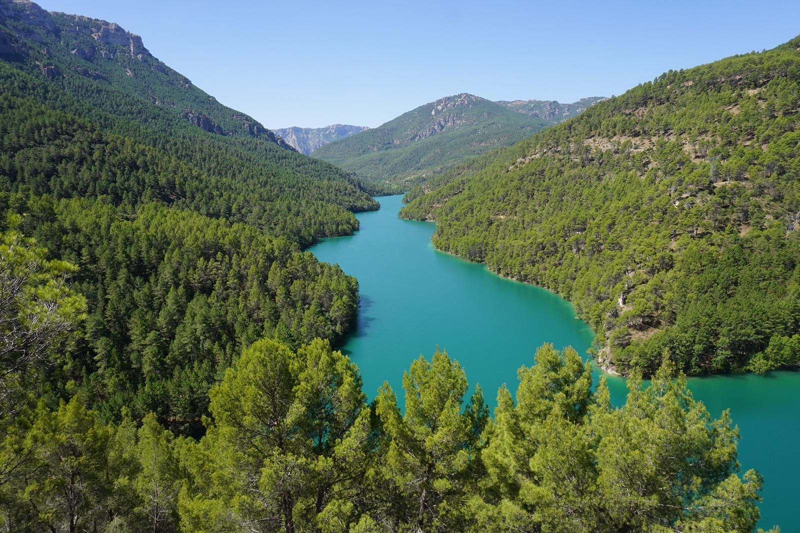 Un refugio para la flora y fauna: descubre los parajes acuáticos de Jaén en el Día Mundial de los Humedales
