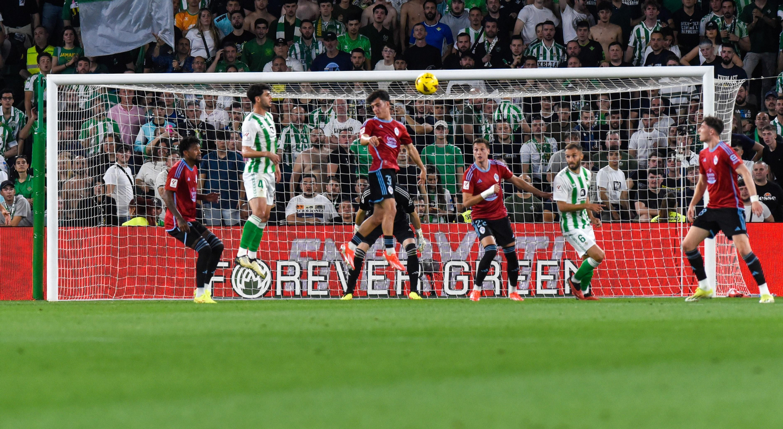 Las imágenes del Real Betis-Celta