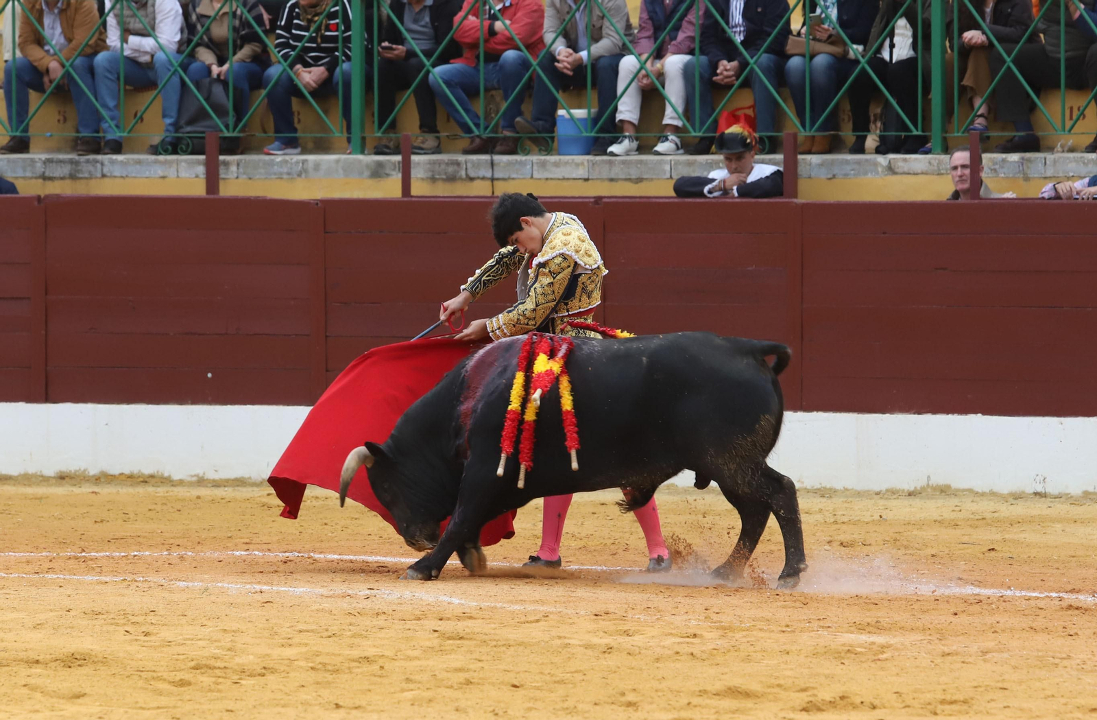 Imágenes de la novillada previa a la Semana Santa en la plaza de toros de La Línea