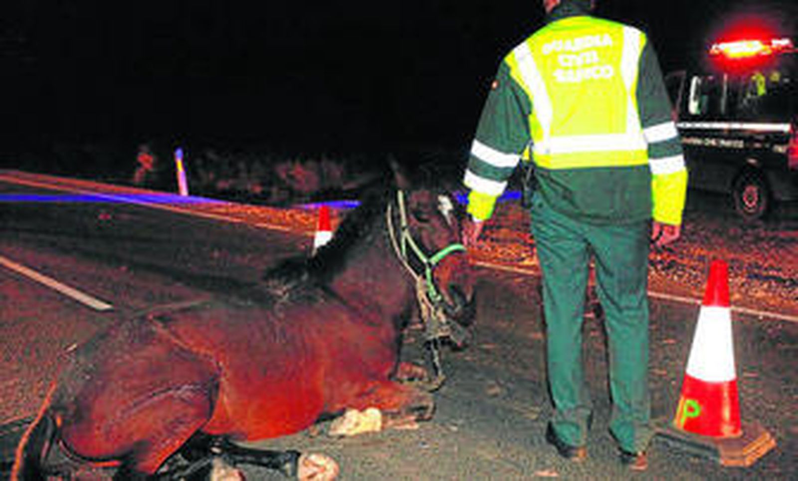 Una agente de la Guardia Civil acaricia al animal, malherido, en la carretera A-318.