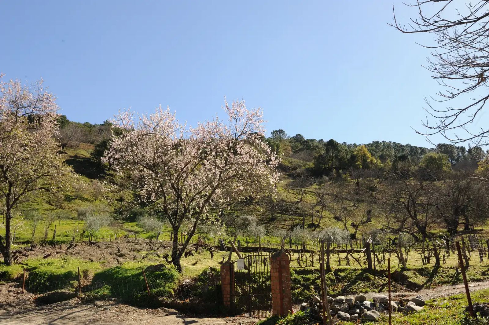 Otra de las estampas en el camino.