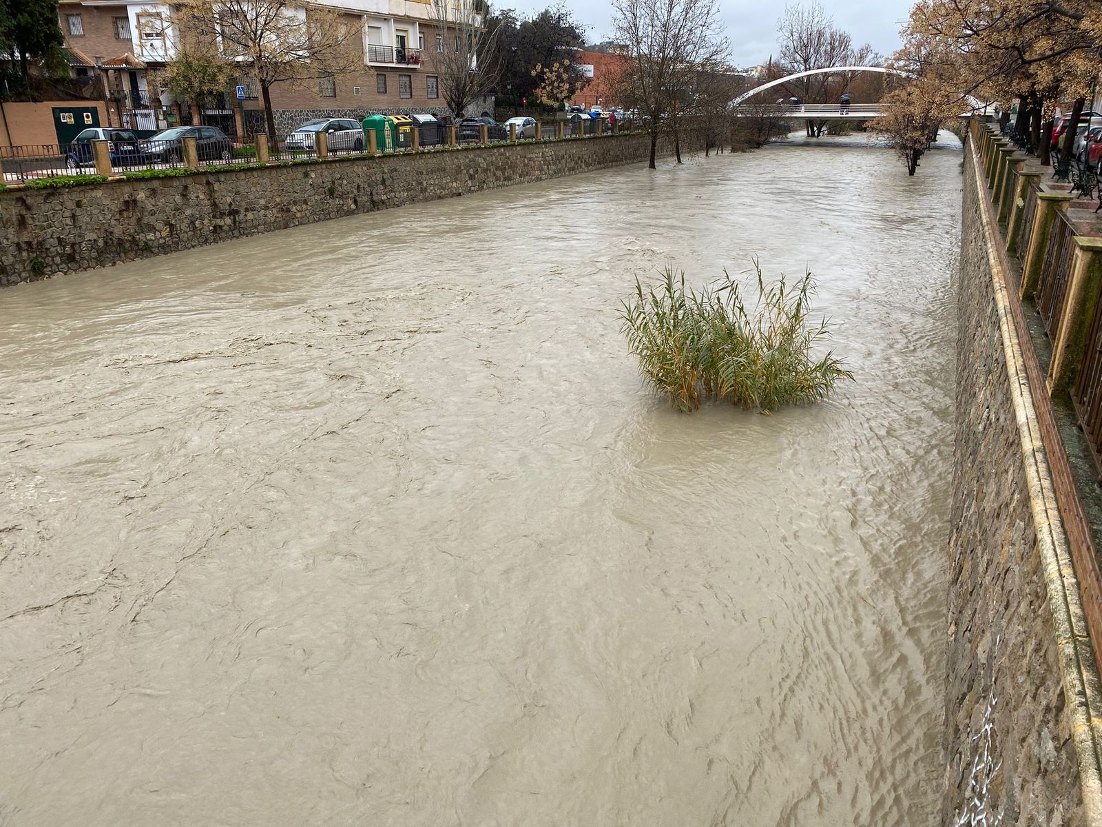 WhatsApp Image 2026-02-04 at 12.46.02 (1)