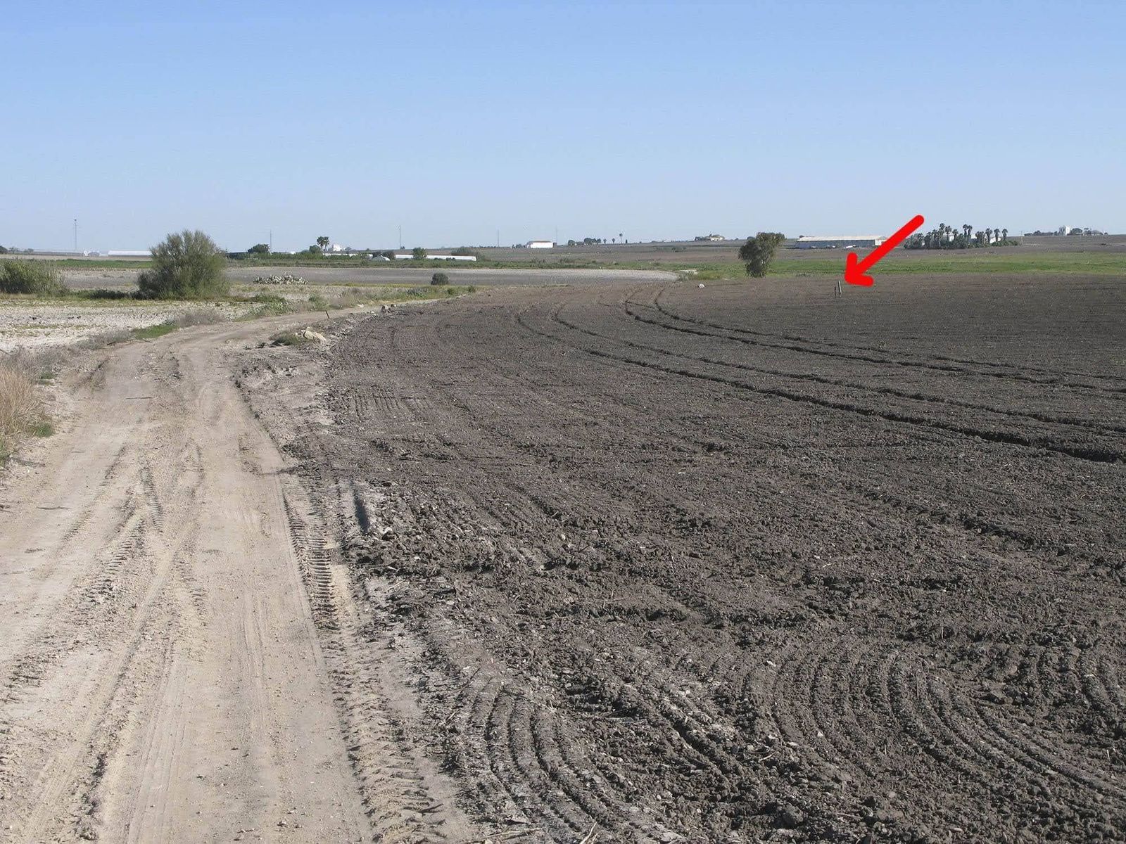 Colada de Cebollares ocupada, señalándose el límite de la vía pecuaria.