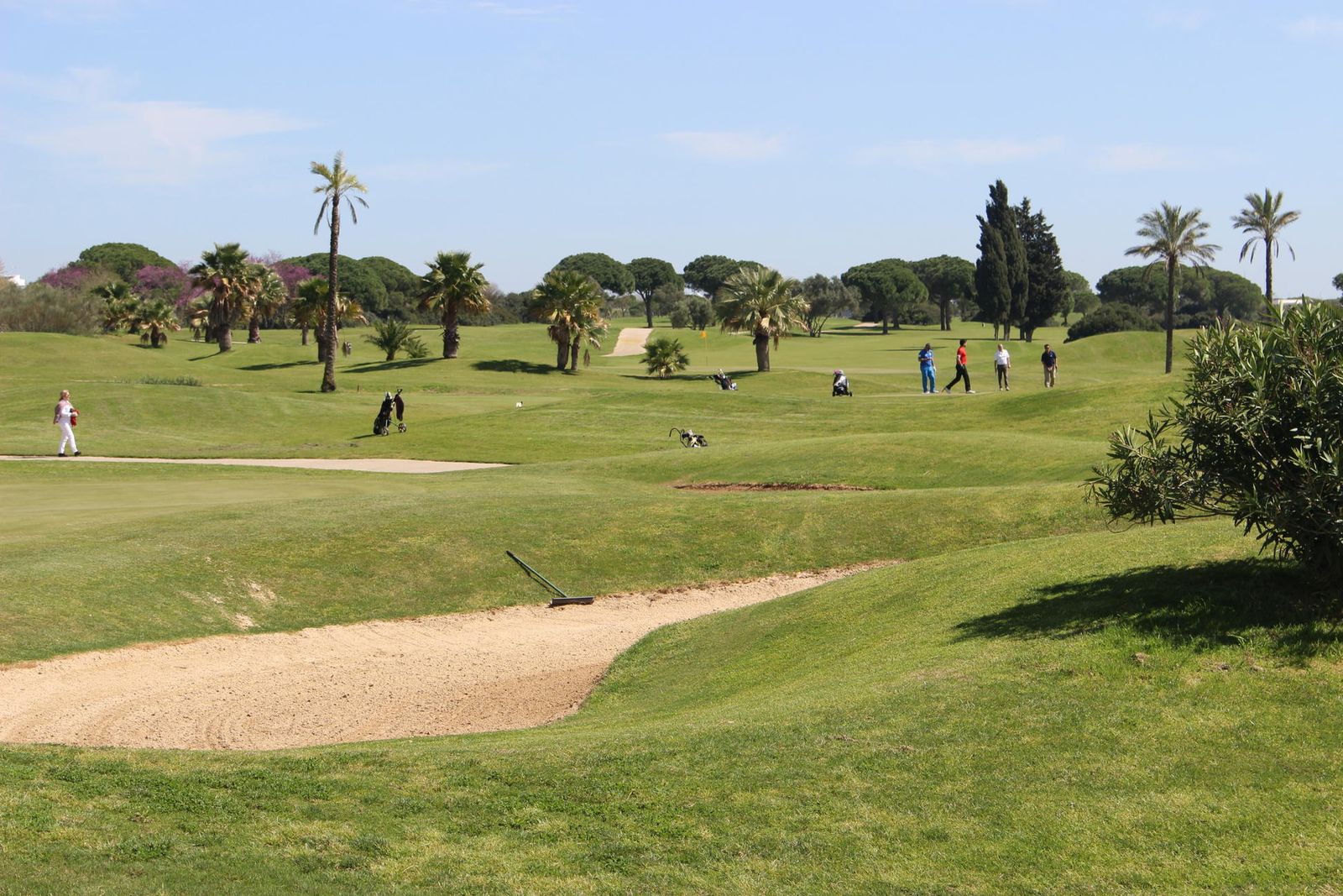 El green del Villanueva Golf estaba el pasado sábado a pleno rendimiento durante la celebración del 'Torneo de Golf Osborne'.