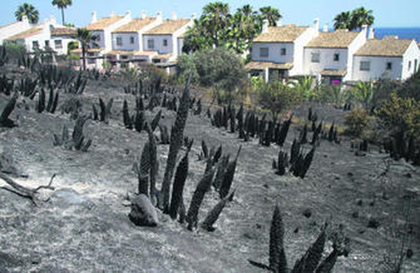 Vista de la zona de El Hacho, donde ayer se declaró el incendio que obligó al desalojo de las viviendas.
