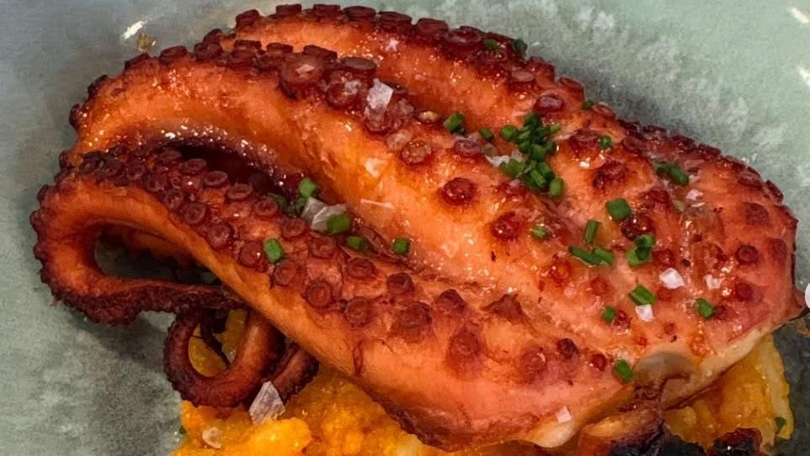 Pulpo en Restaurante Bambú