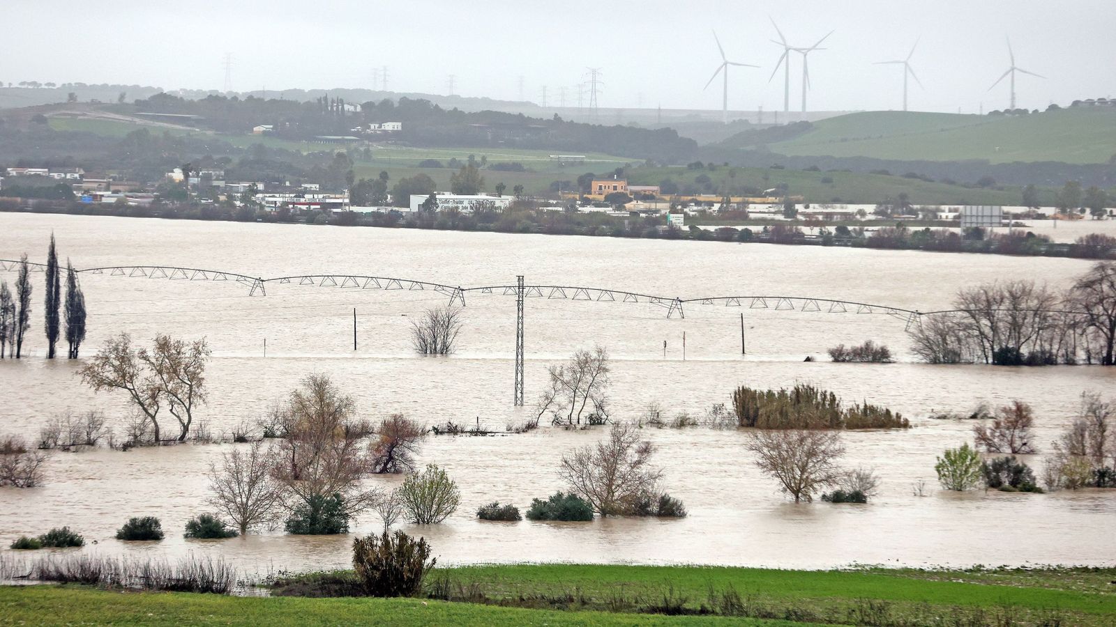 Imágenes del paseo rural por Jerez en el estreno de la borrasca Marta
