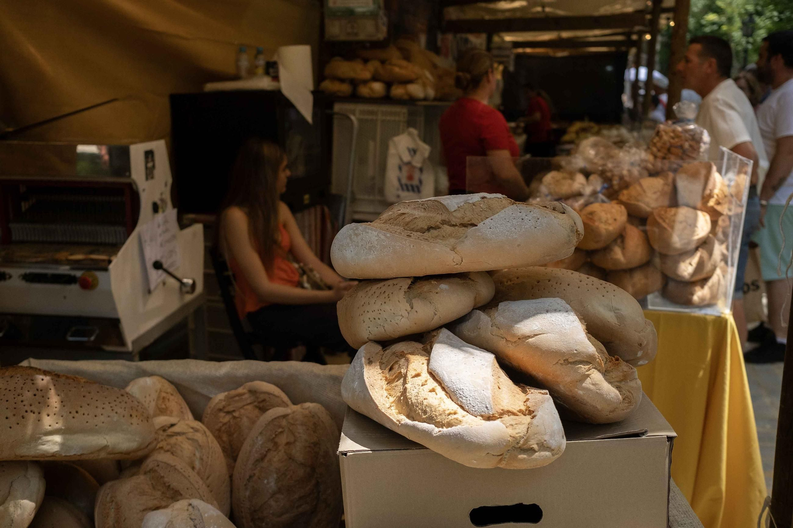 Ronda Romántica, en imágenes