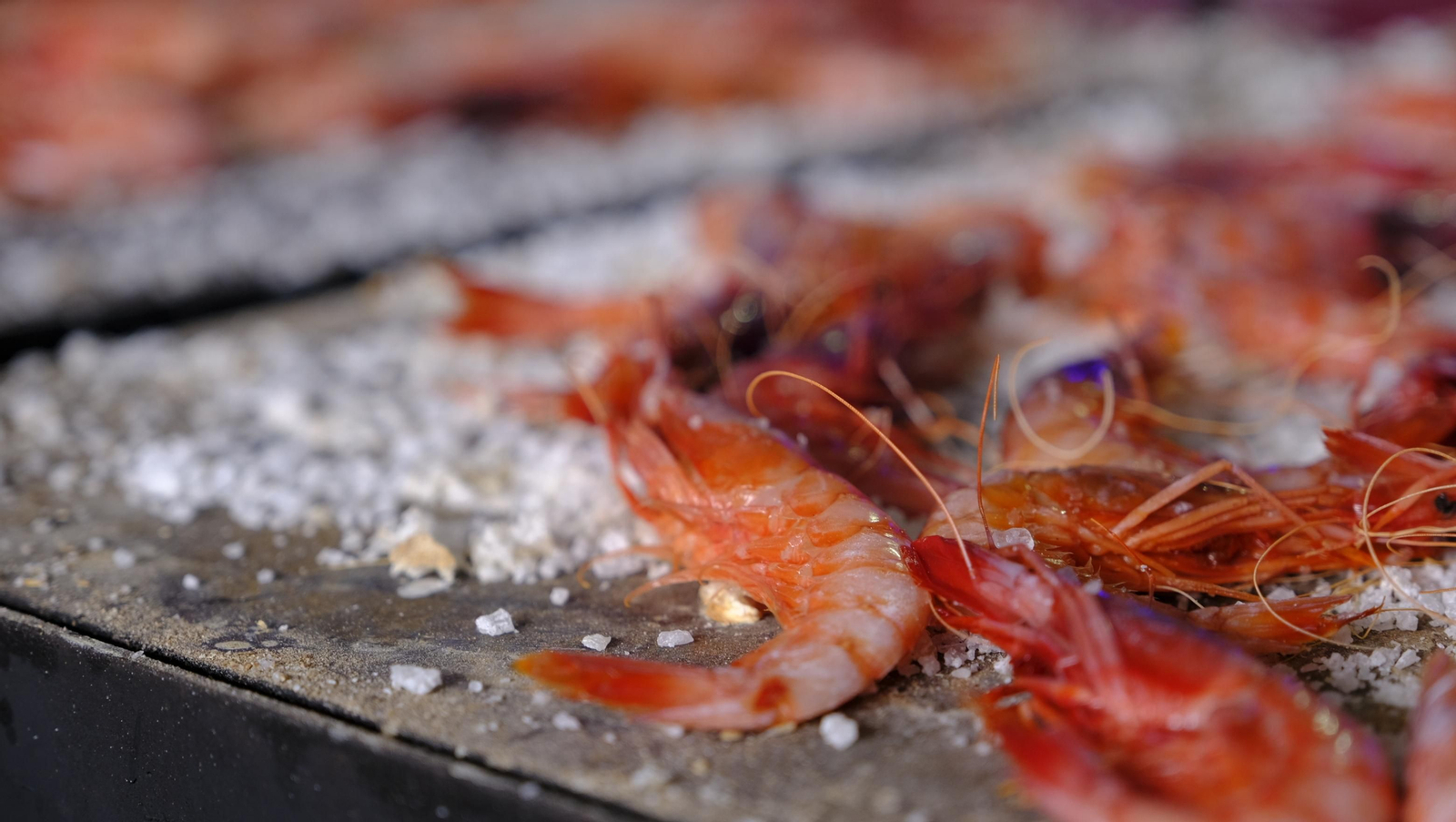 Imágenes de la Feria de la Gamba Roja de Garrucha