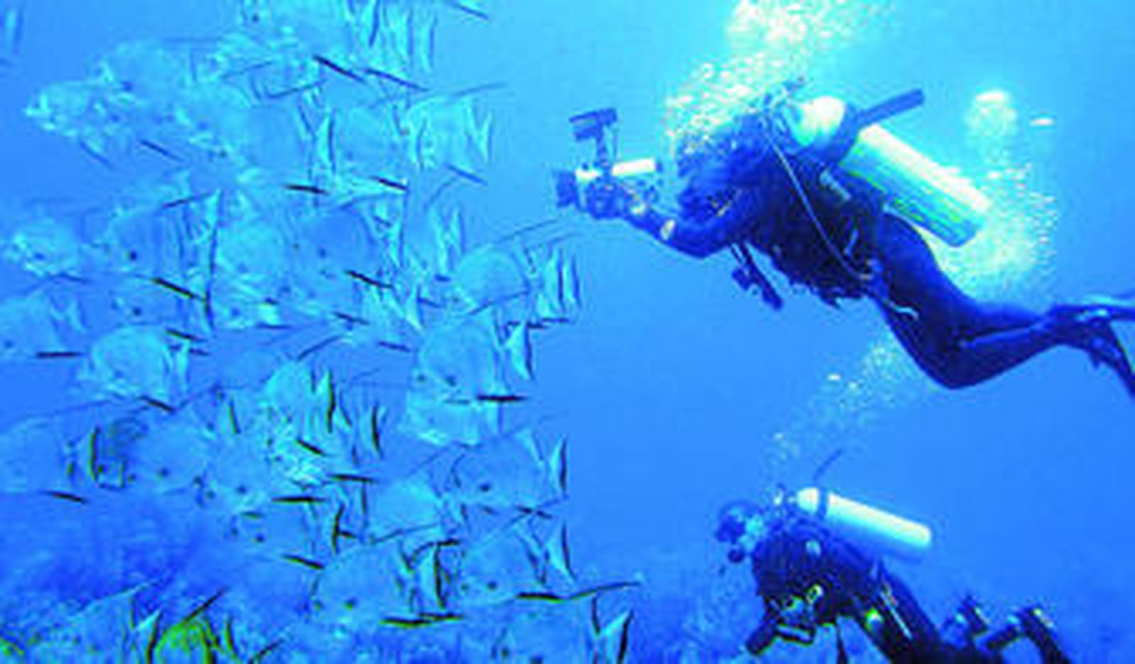 Un tesoro bajo el mar