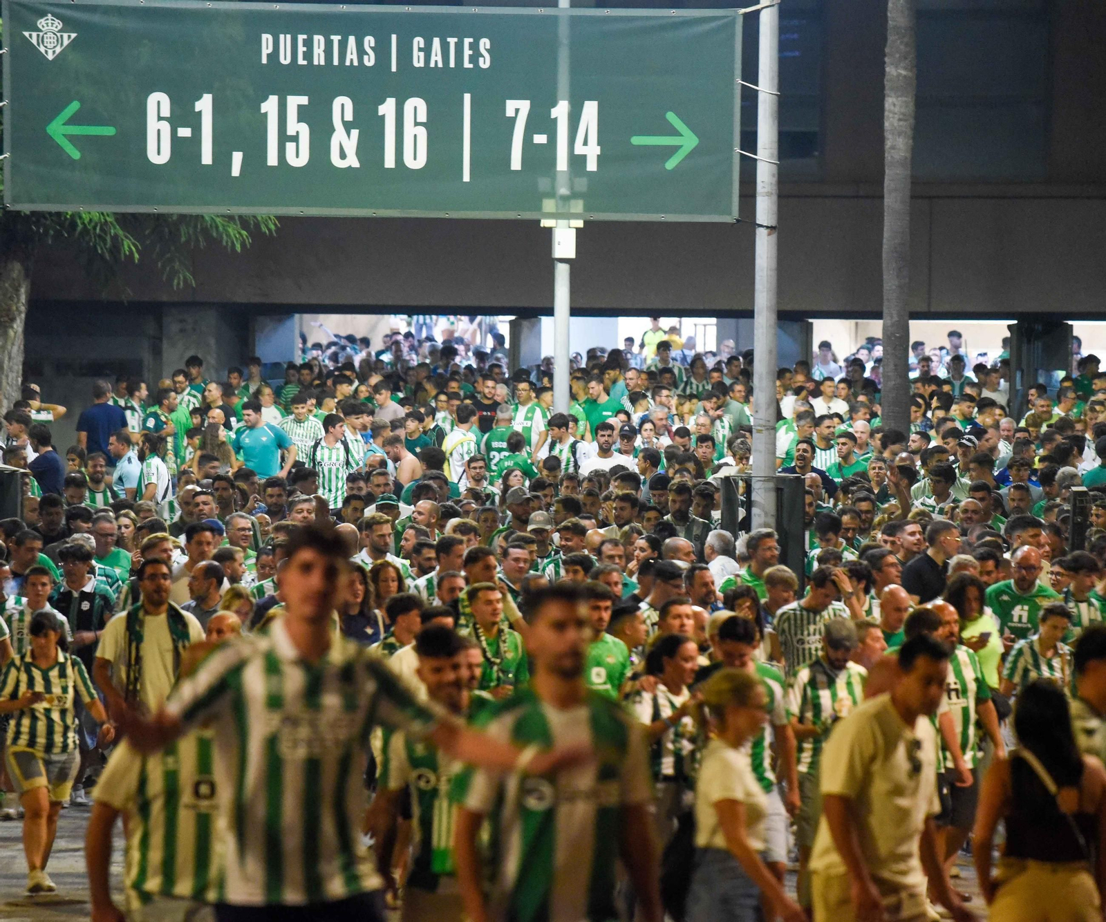 La afición del Betis en su primer partido en la Cartuja