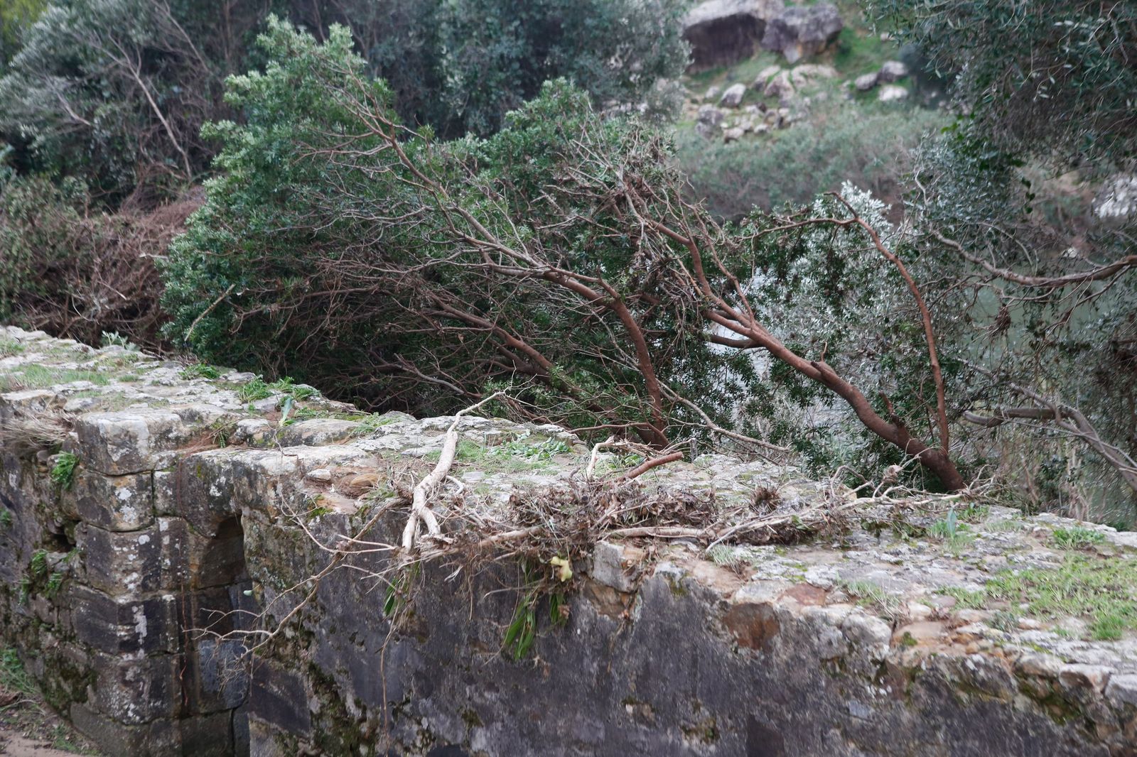 Fotos de las consecuencias de la borrasca Francis en Tesorillo y Jimena