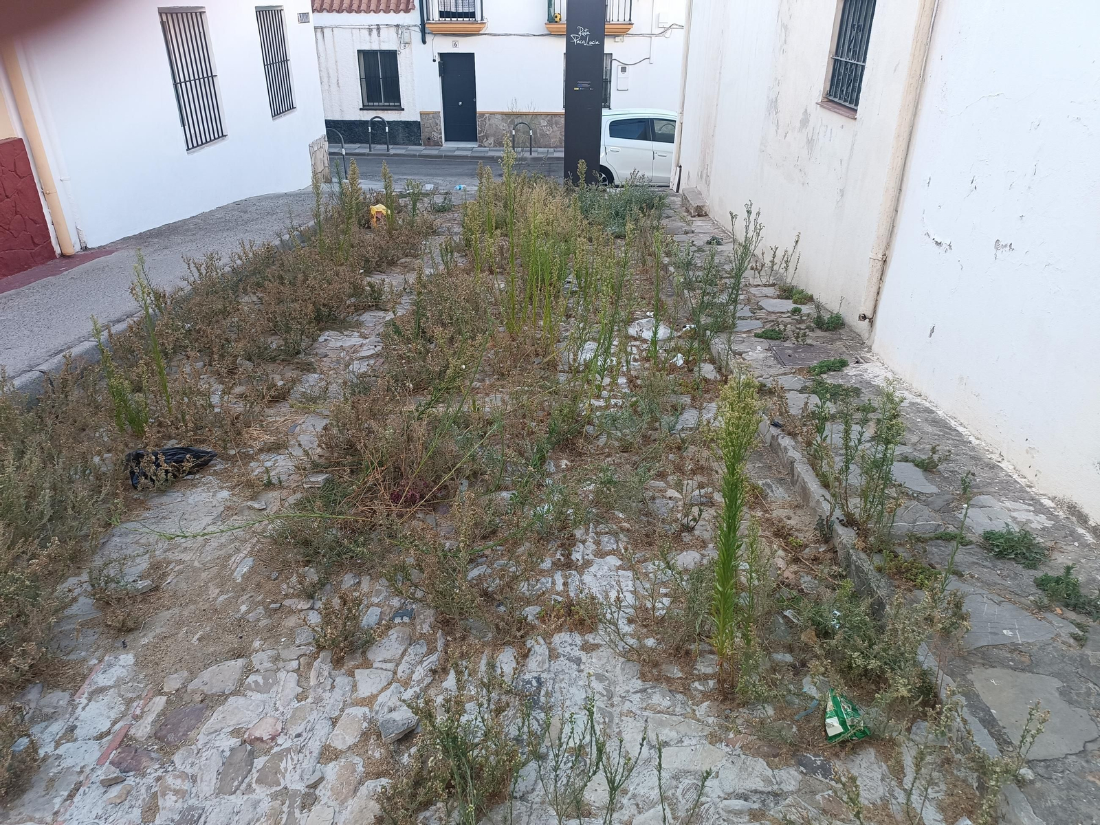 Uno de los hitos de la Ruta Paco de Lucía rodeado de maleza en una foto facilitada por IU Algeciras..