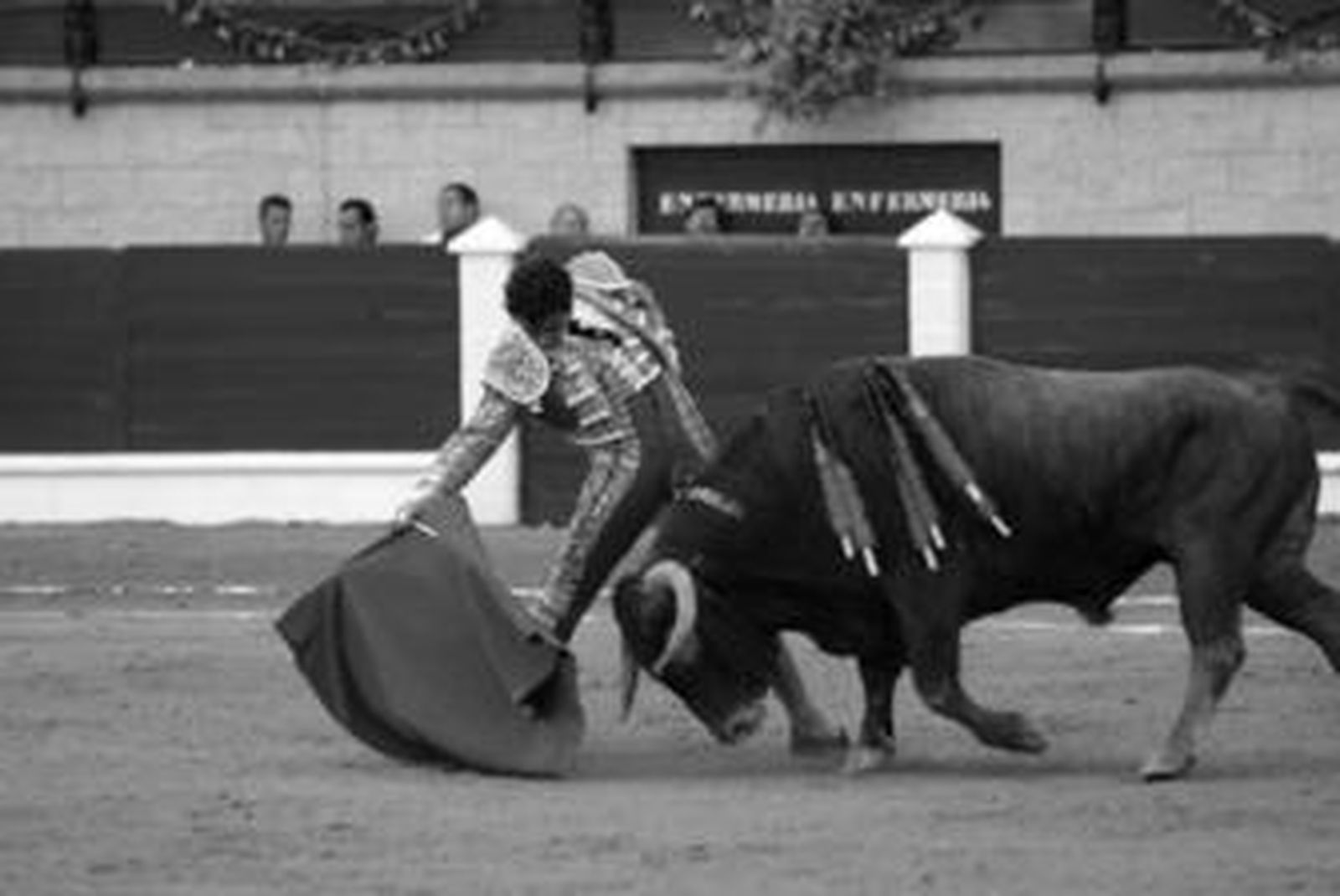 El Fandi, con la muleta en la mano derecha entregado ante la embestida noble del quinto toro de la tarde, al que indultó.