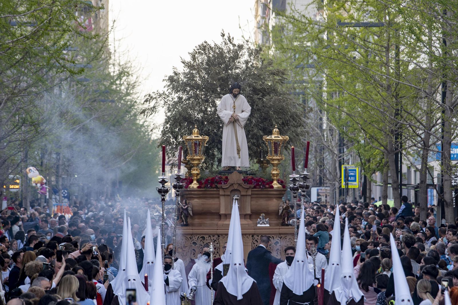 Crónica gráfica del Domingo de Ramos en Granada