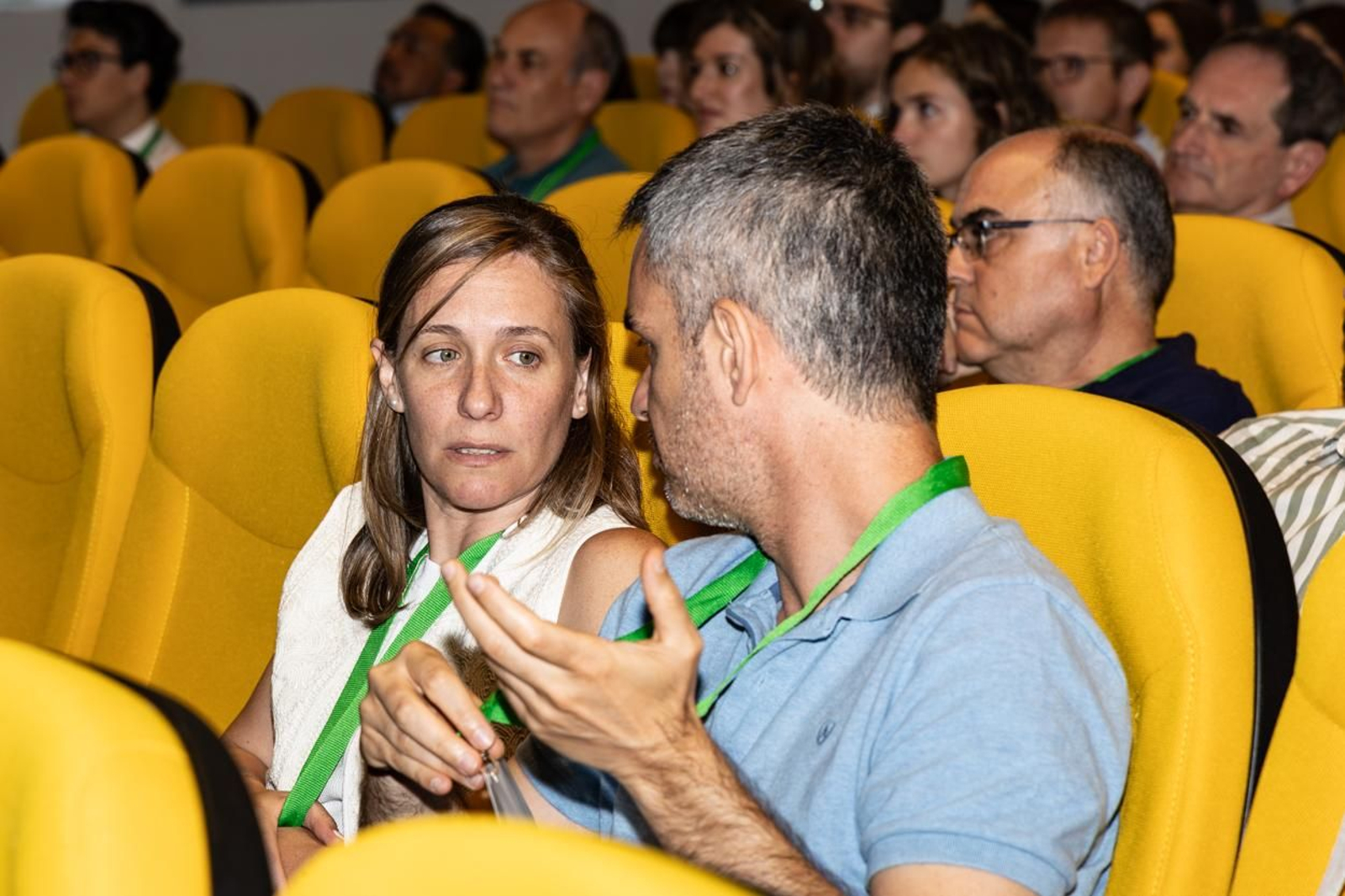 Presentación del Congreso Internacional de Dirección e Ingeniería de Proyectos