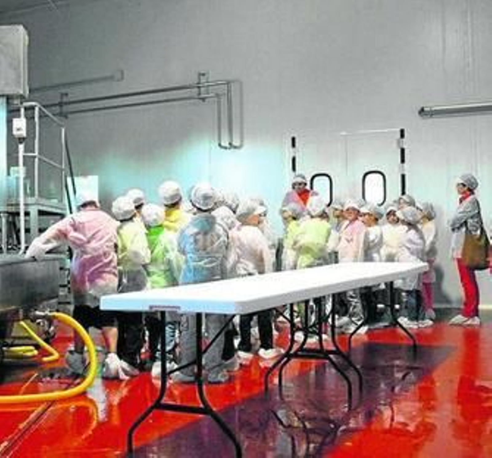 Un grupo escolar visita la fábrica donde se elabora el queso.