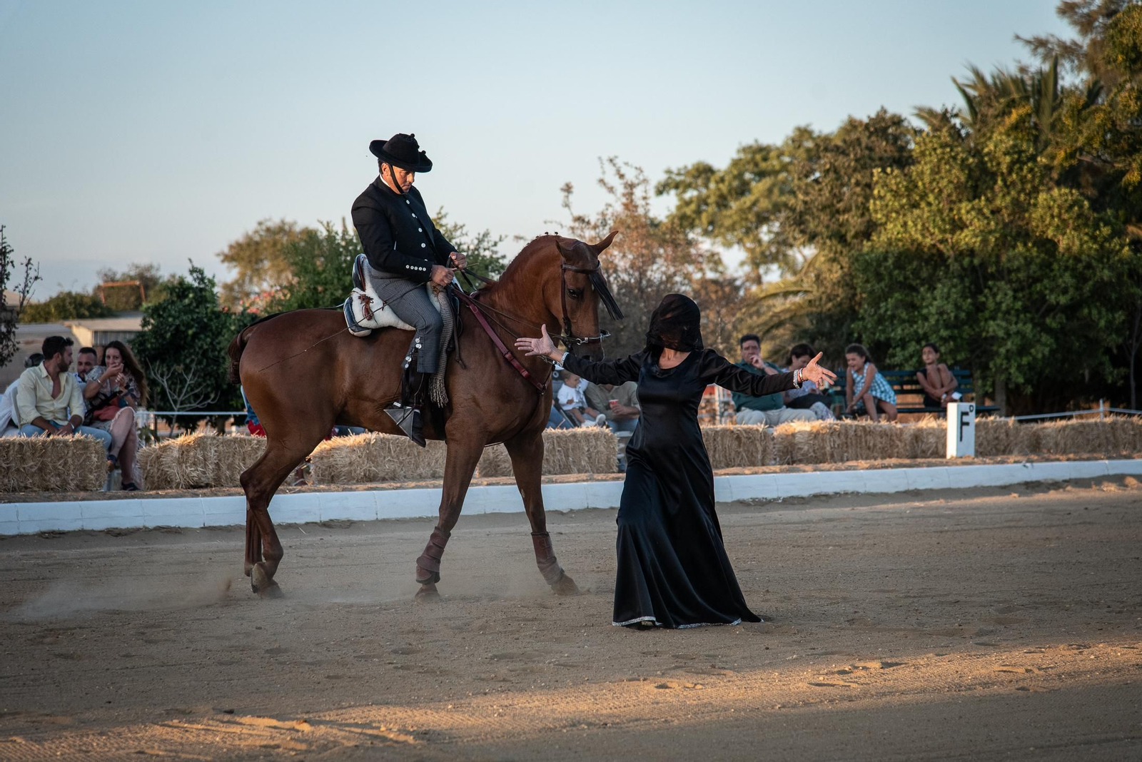 El espectáculo Flamencab en imágenes
