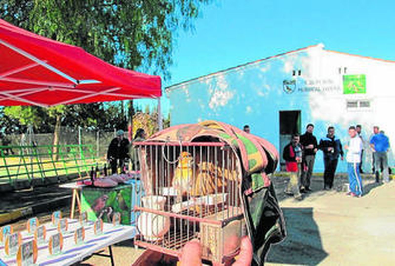 Alarma por el futuro de la práctica del Silvestrismo